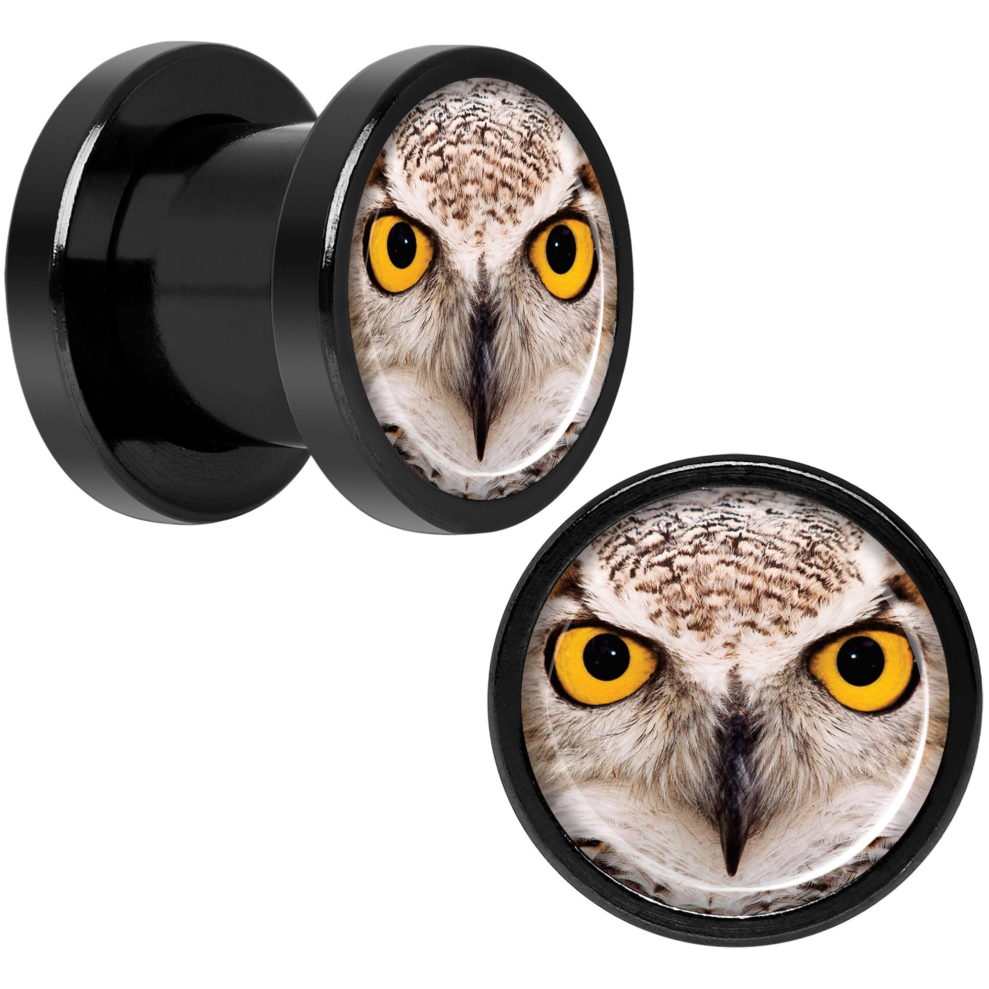 Full Color Owl Black Anodized Screw Fit Plug Set 0G