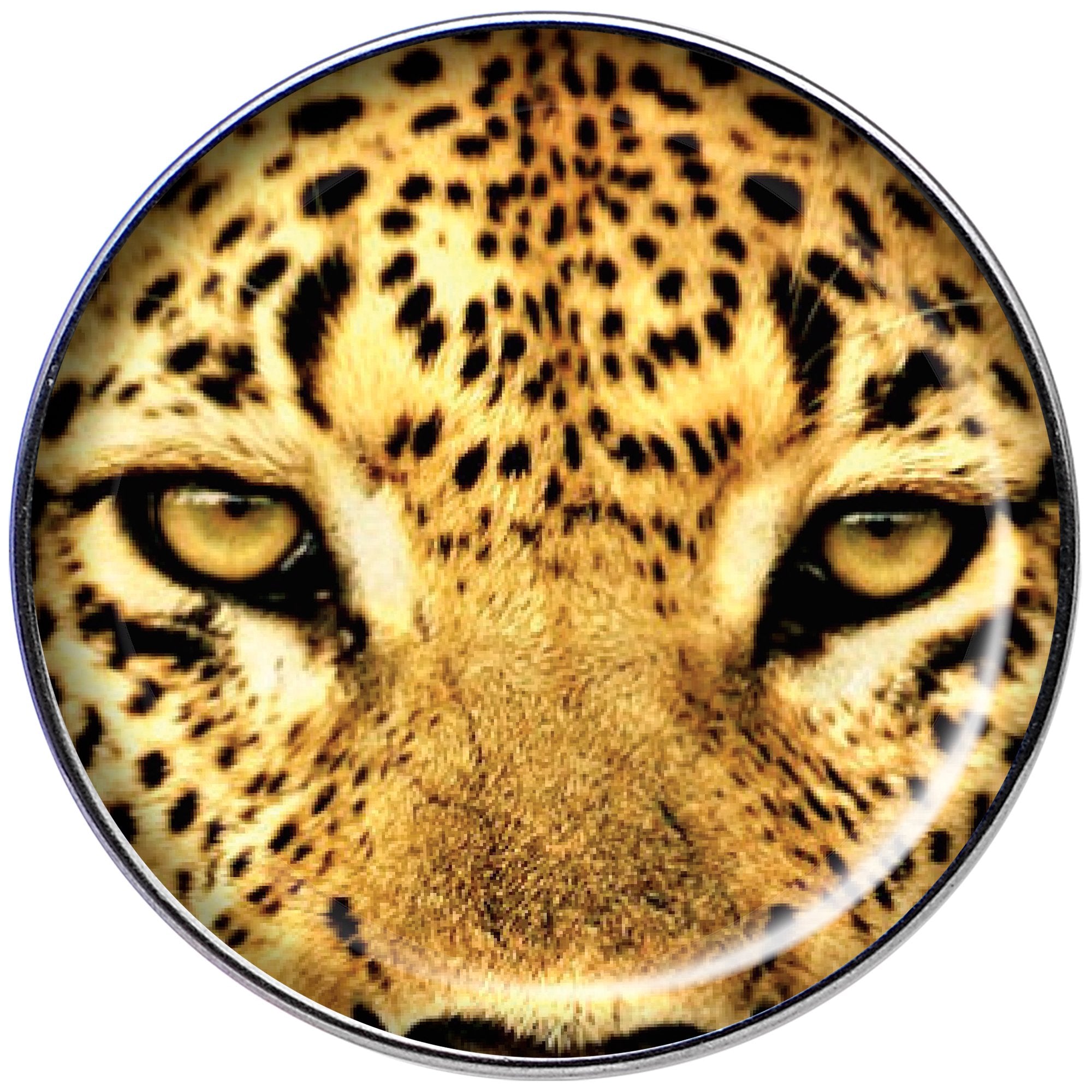 16G 1/4 Full Color Leopard Eyes Tragus Cartilage Earring