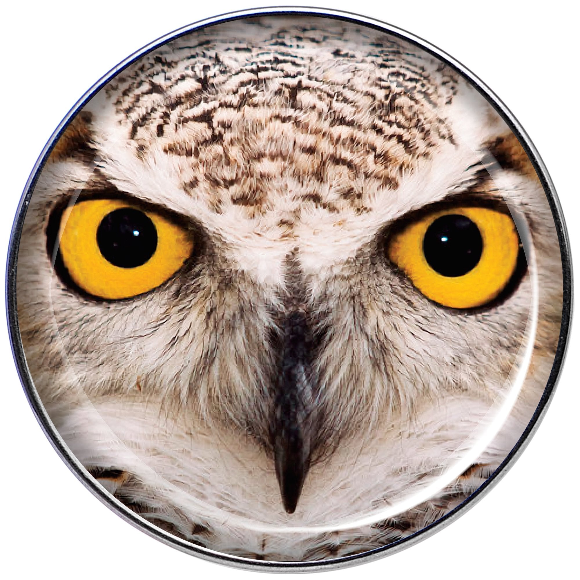 16G 1/4 Full Color Owl Tragus Cartilage Earring