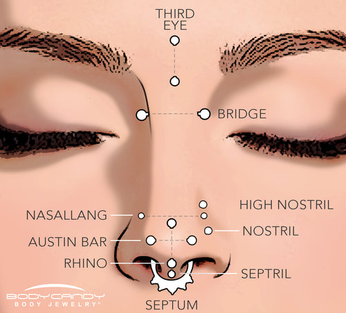 ZS | Nose Stud Set | Spike Nose Piercing | Hoop Nose Ring