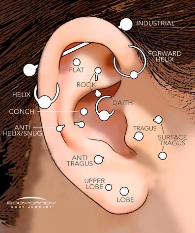 Cartilage Jewelry - What Style Can You Wear in Which Piercing?