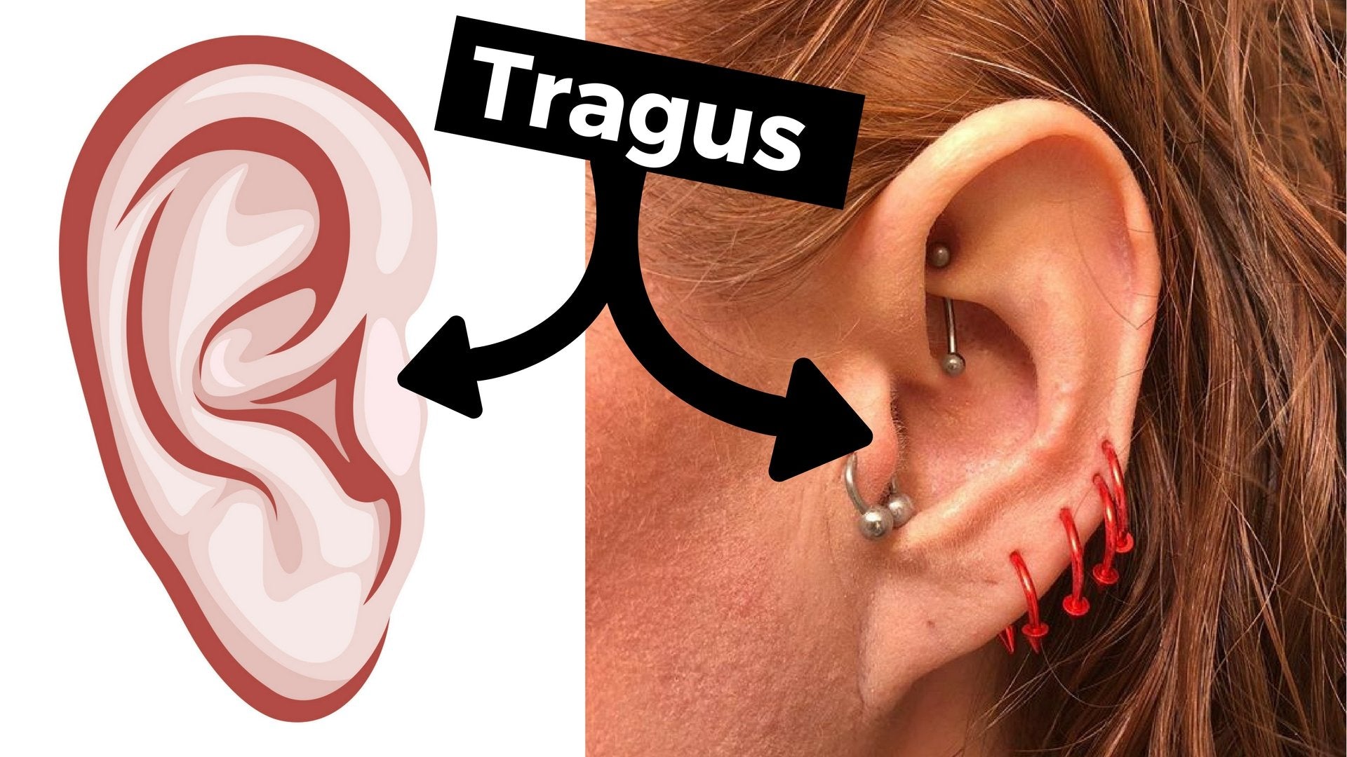 Where Is a Tragus Body Piercing?