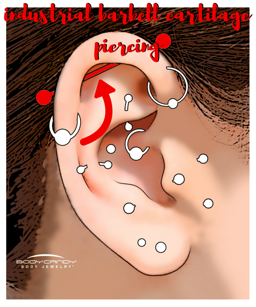 Encyclopedia of Body Piercings: Industrial Barbell Cartilage Piercing