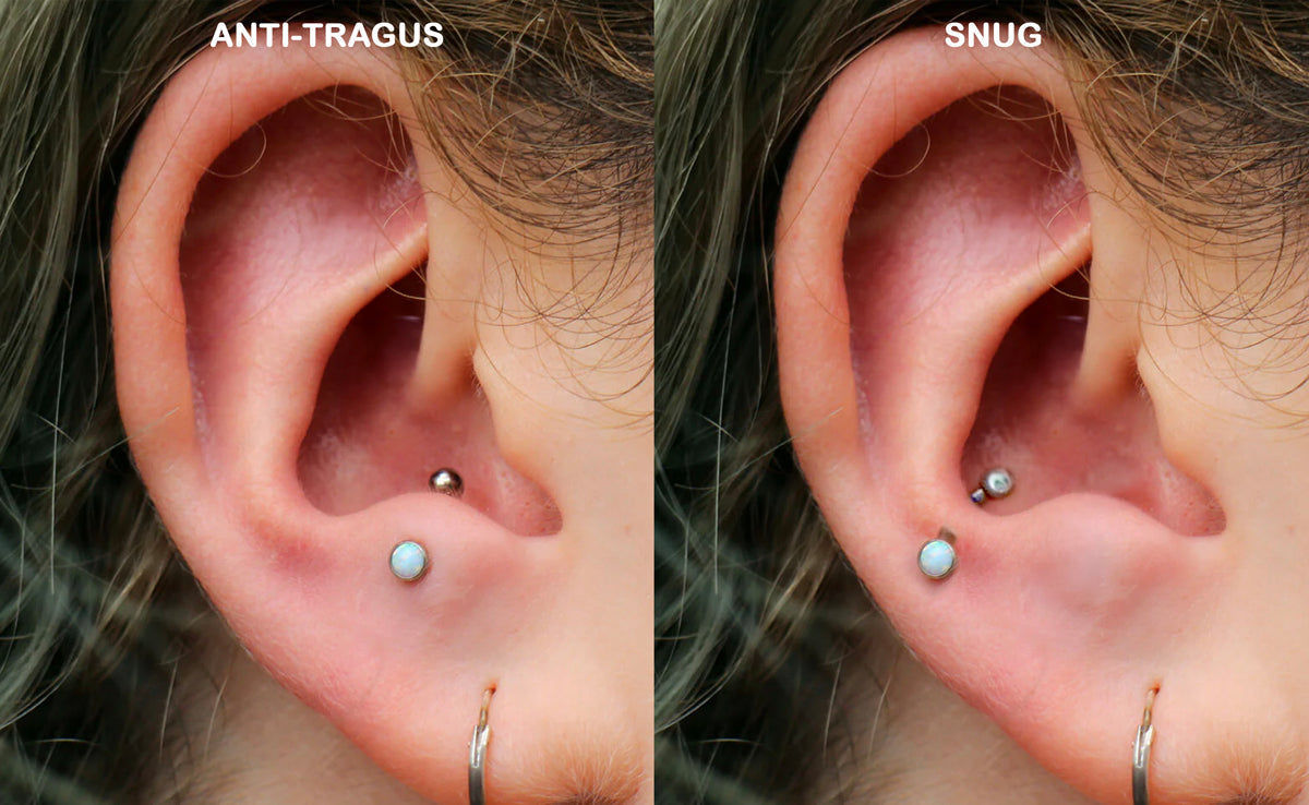 Snug Piercing v. Anti Tragus Piercing