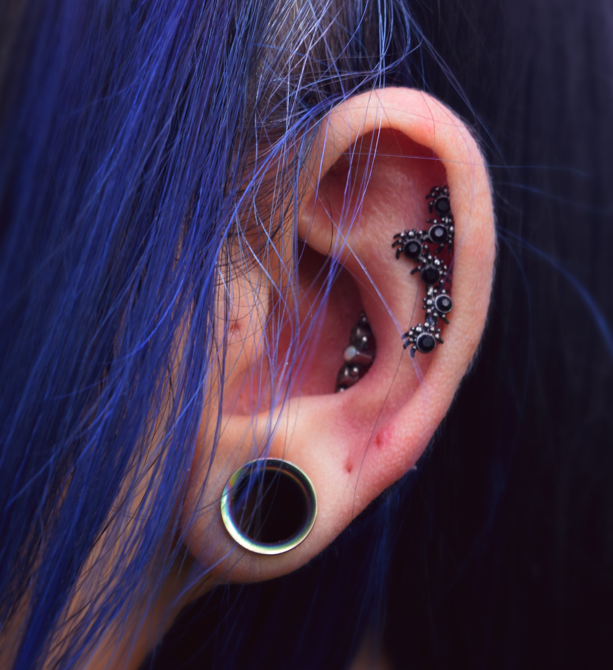 16G 1/4 Black CZ Gem Black Spider Halloween Cartilage Tragus
