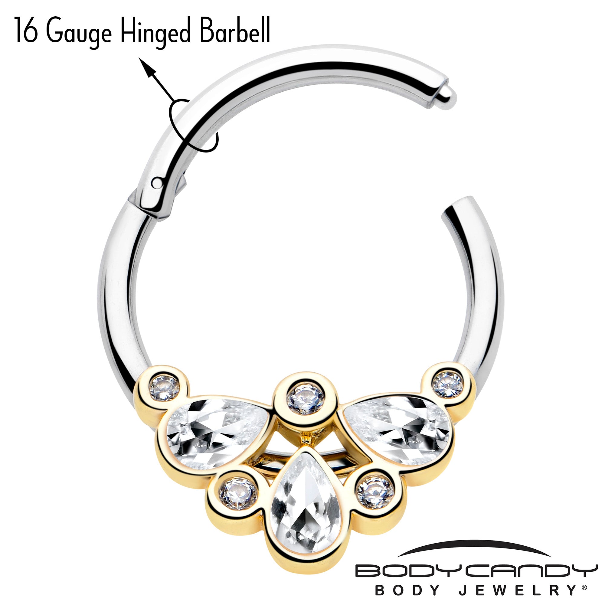 16G 3/8 Clear Gem Golden Crown Deluxe Hinged Segment Ring