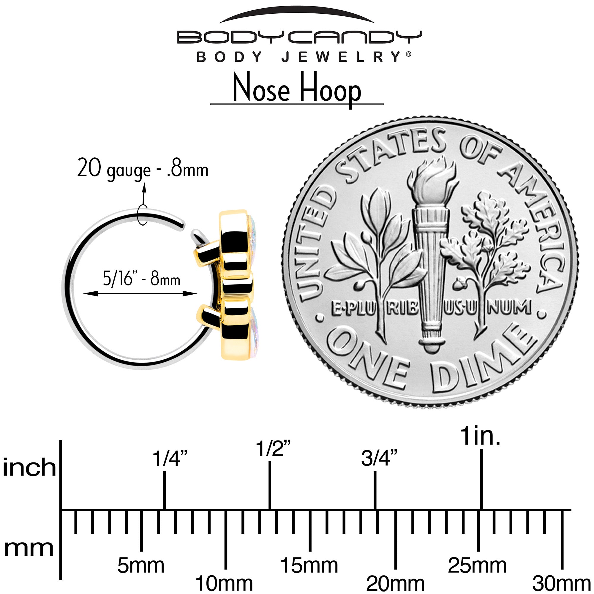 20G 5/16 Aurora Gem Golden Crown Deluxe Nose Hoop