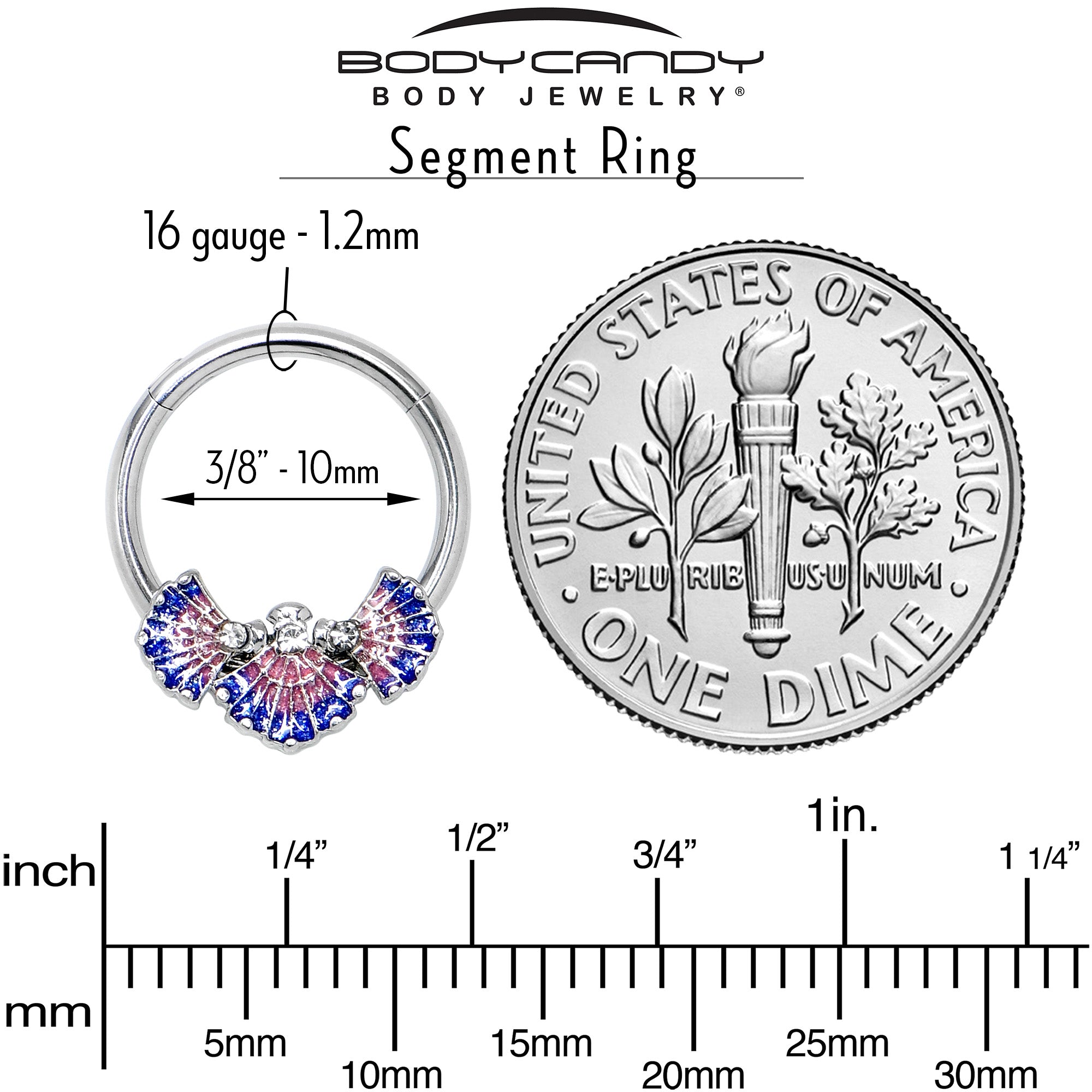 16G 3/8 Clear CZ Gem Mesmerizing Sea Shells Hinged Segment Ring