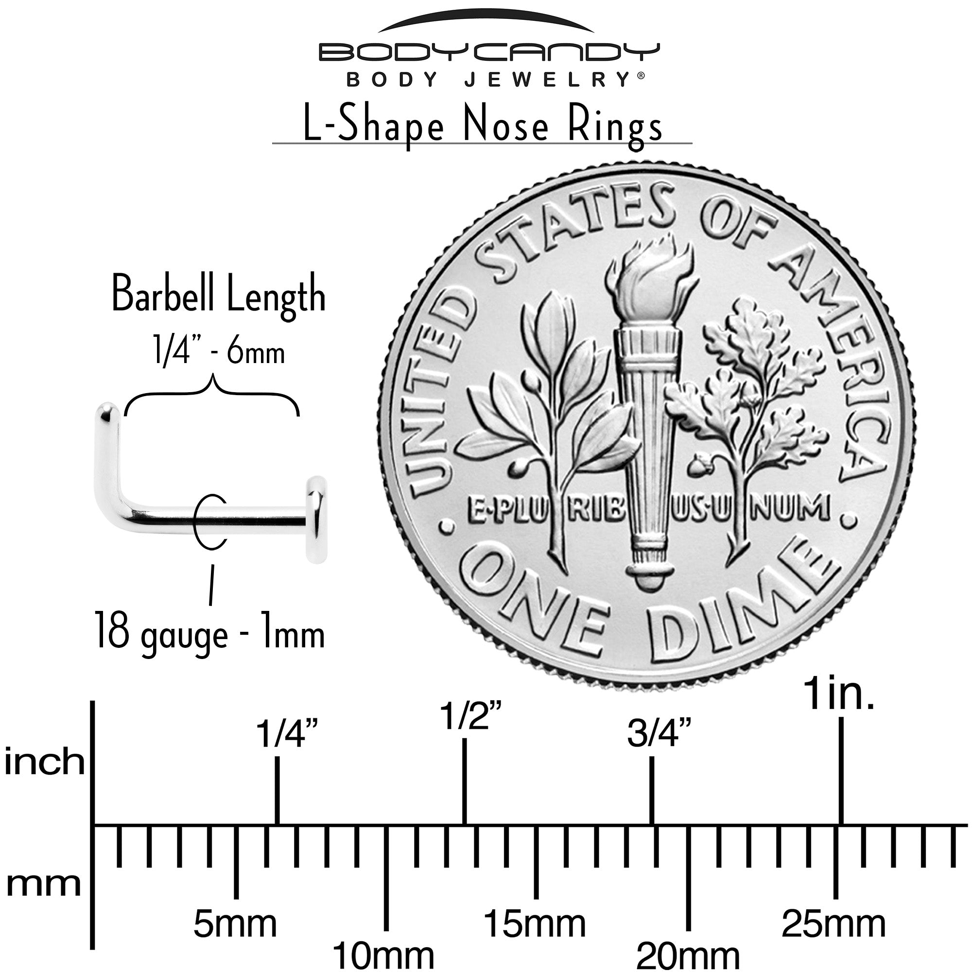 18G 1/4 ASTM F-136 Implant Grade Titanium 3mm Disc End L Shape Nose Ring