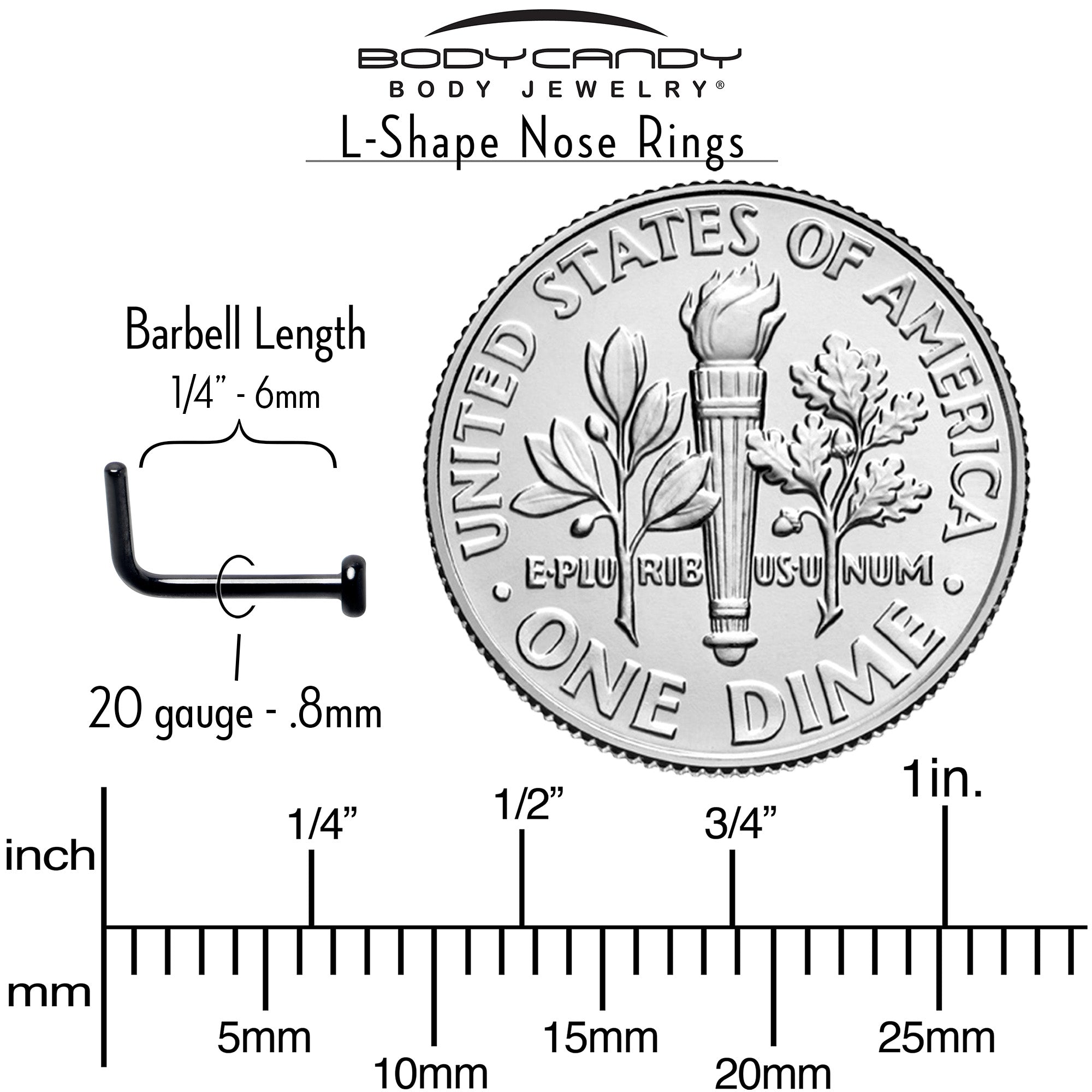 20G 1/4 Black ASTM F-136 Implant Grade Titanium 2mm Disc End L Shape Nose Ring