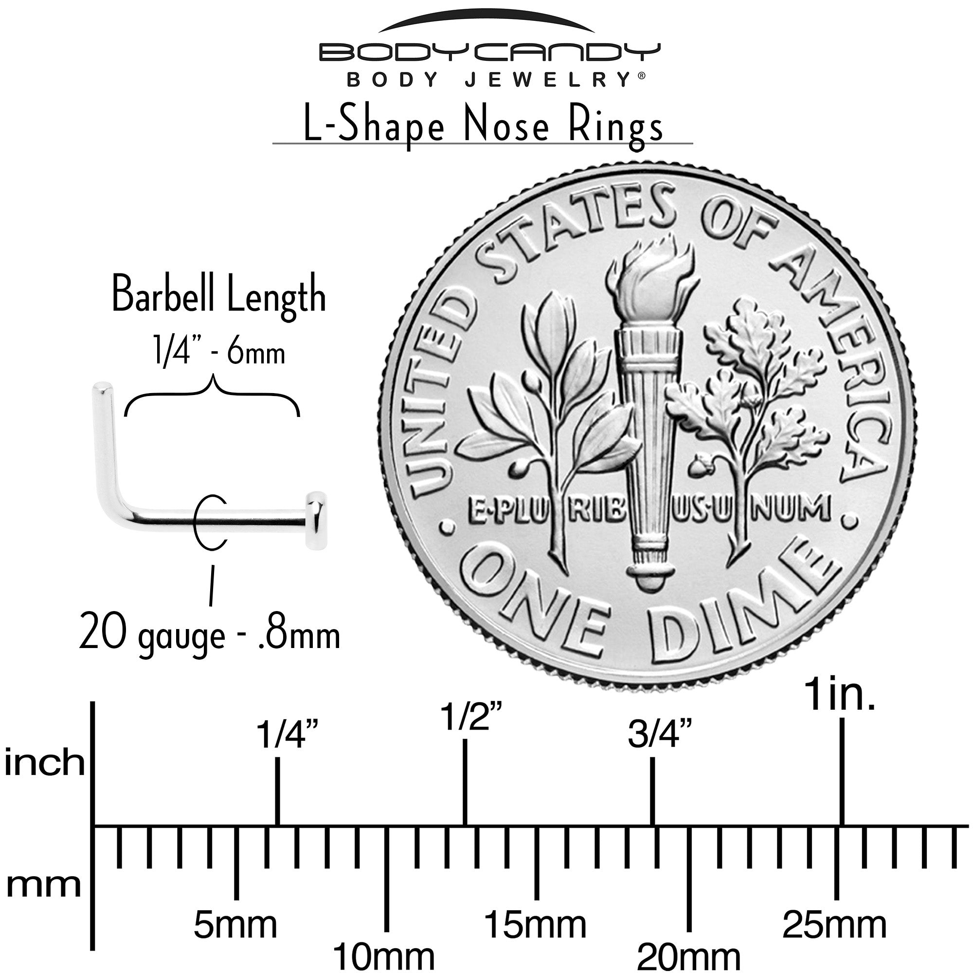 20G 1/4 ASTM F-136 Implant Grade Titanium 2mm Disc End L Shape Nose Ring