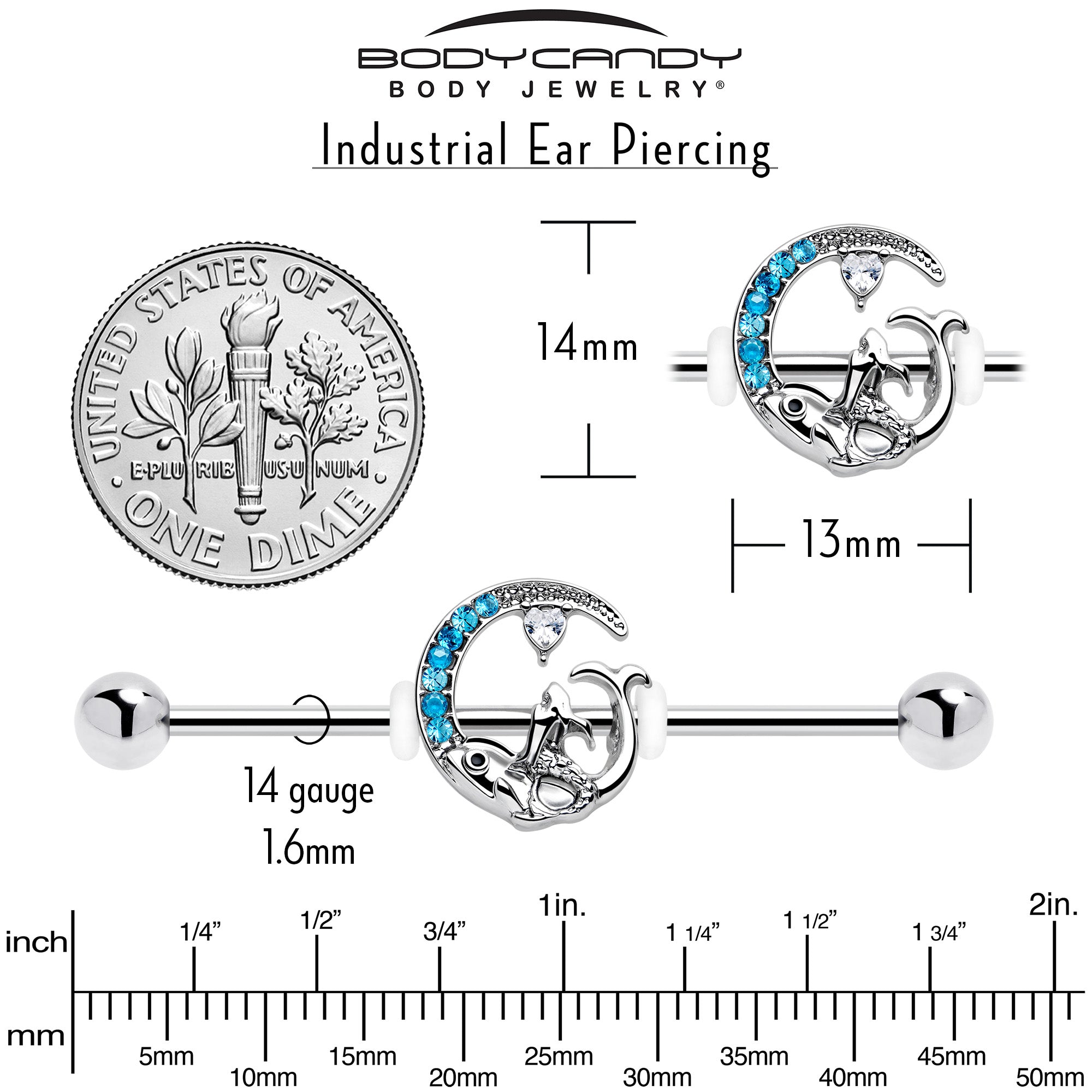 14G Blue Gem Fish of the Day Industrial Barbell 38mm