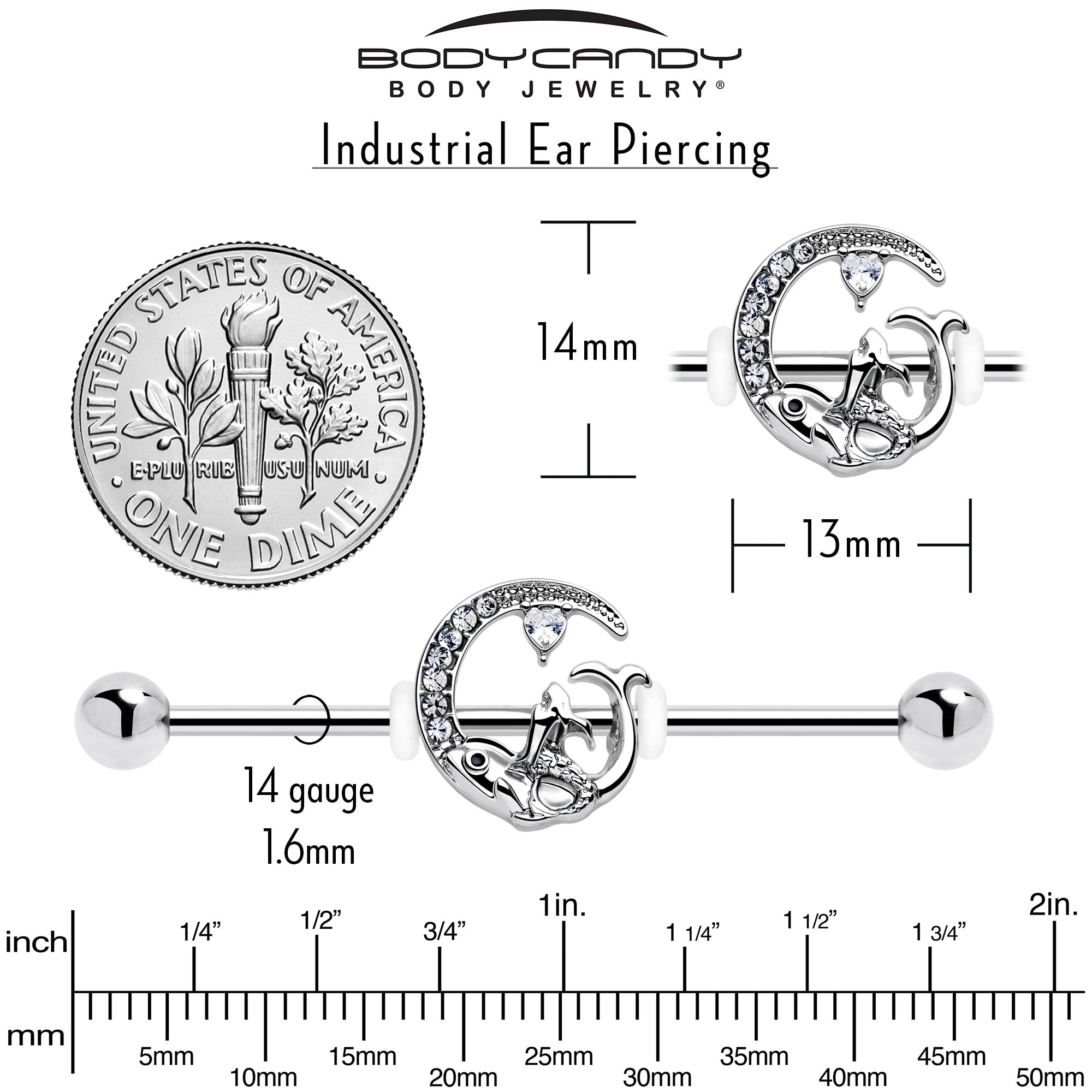 14G Clear Gem Fish of the Day Industrial Barbell 38mm