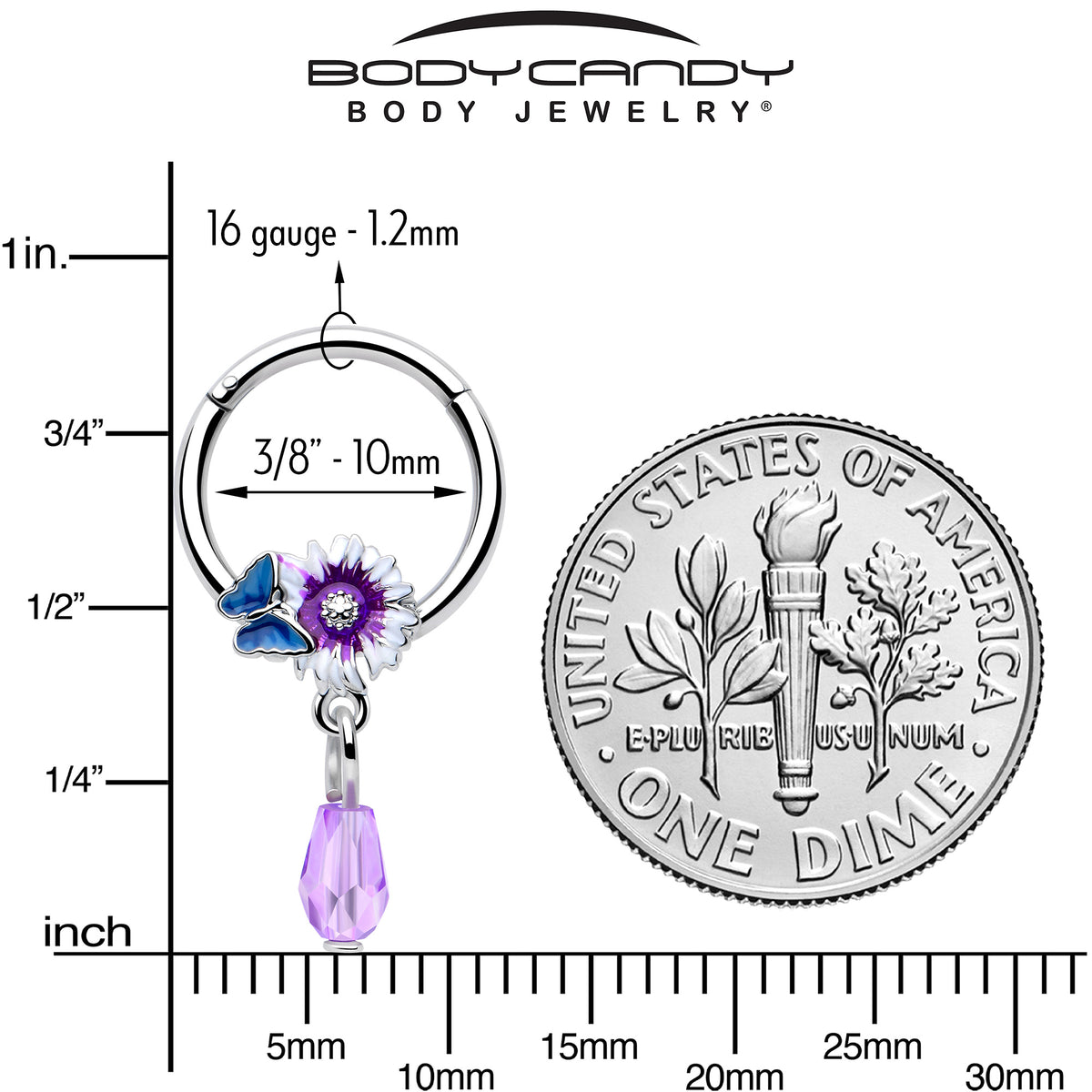 16G 3/8 Purple Gem Passion Flower Butterfly Hinged Segment Ring