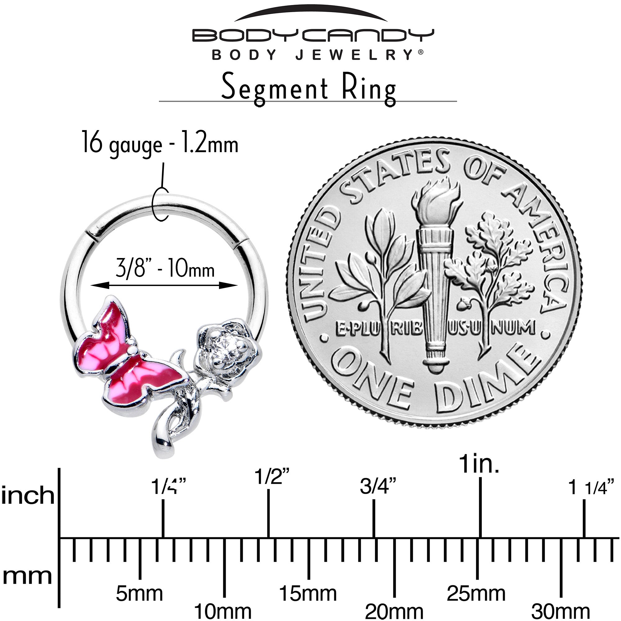 16G 3/8 Clear CZ Gem Butterfly Rose Flower Pink Hinged Segment Ring