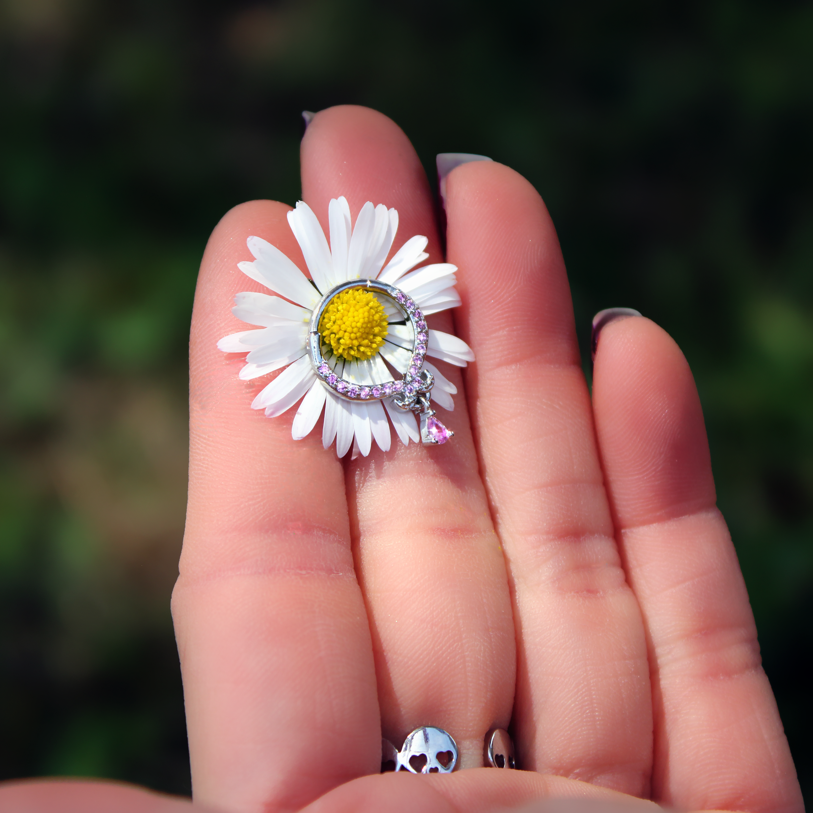 16G 3/8 Pink CZ Gem Elegant Curves Dangle Hinged Segment Ring