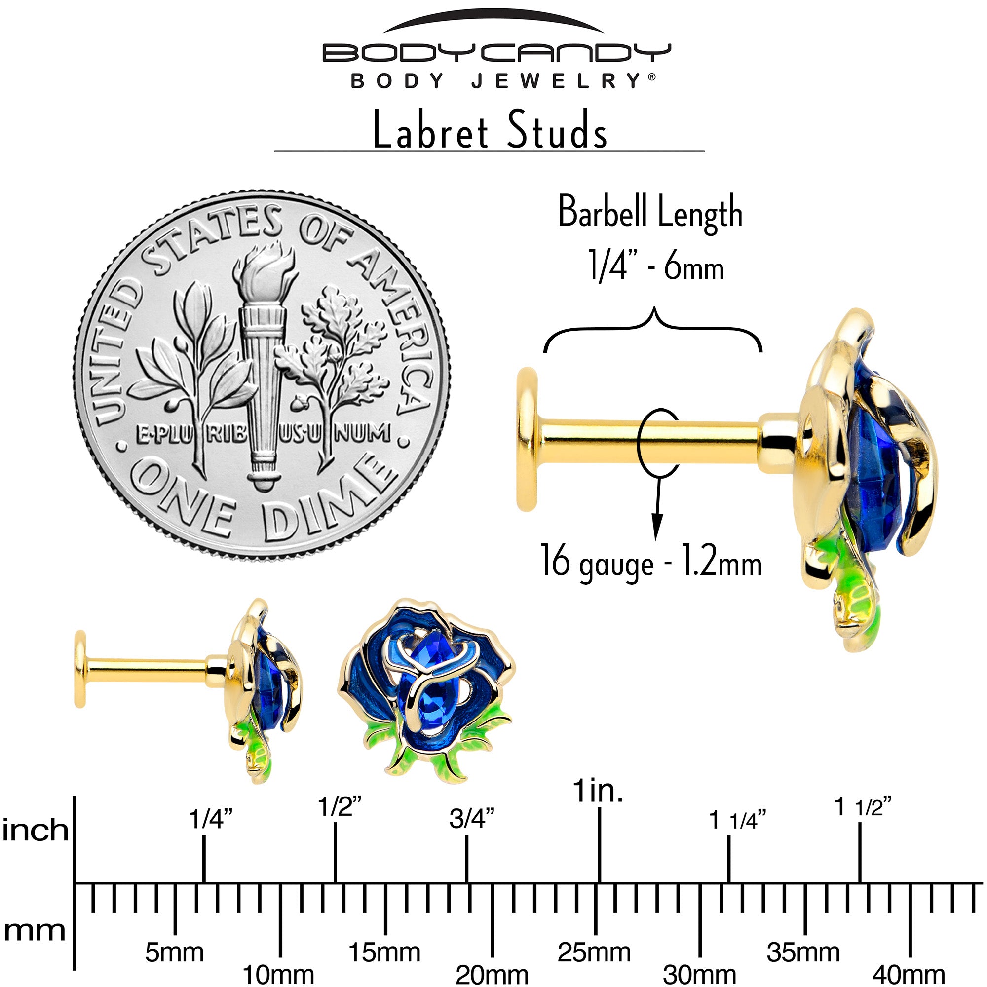 16 Gauge Gold Tone Flower Earring with Blue Accent