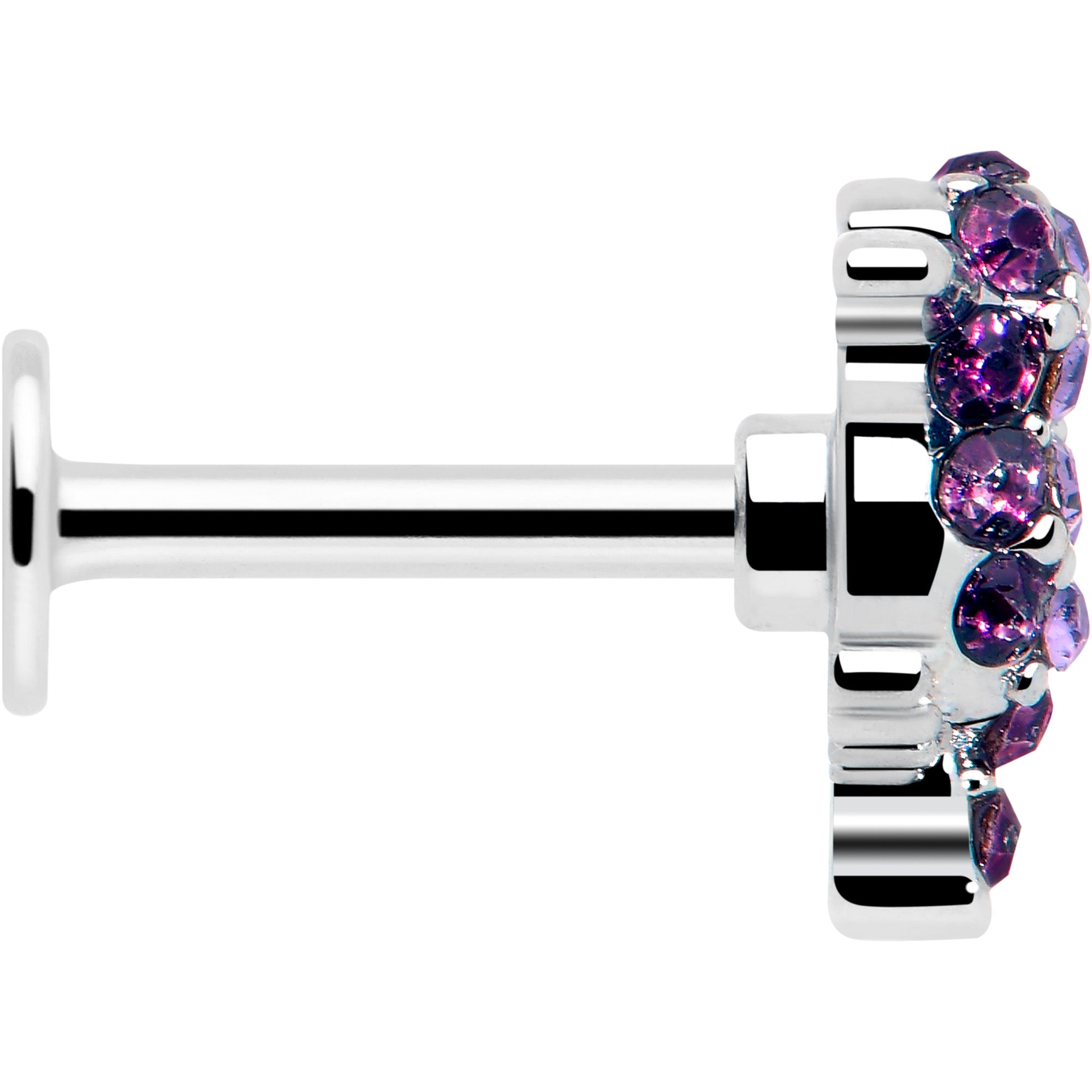purple gem bird cartilage piercing flat back
