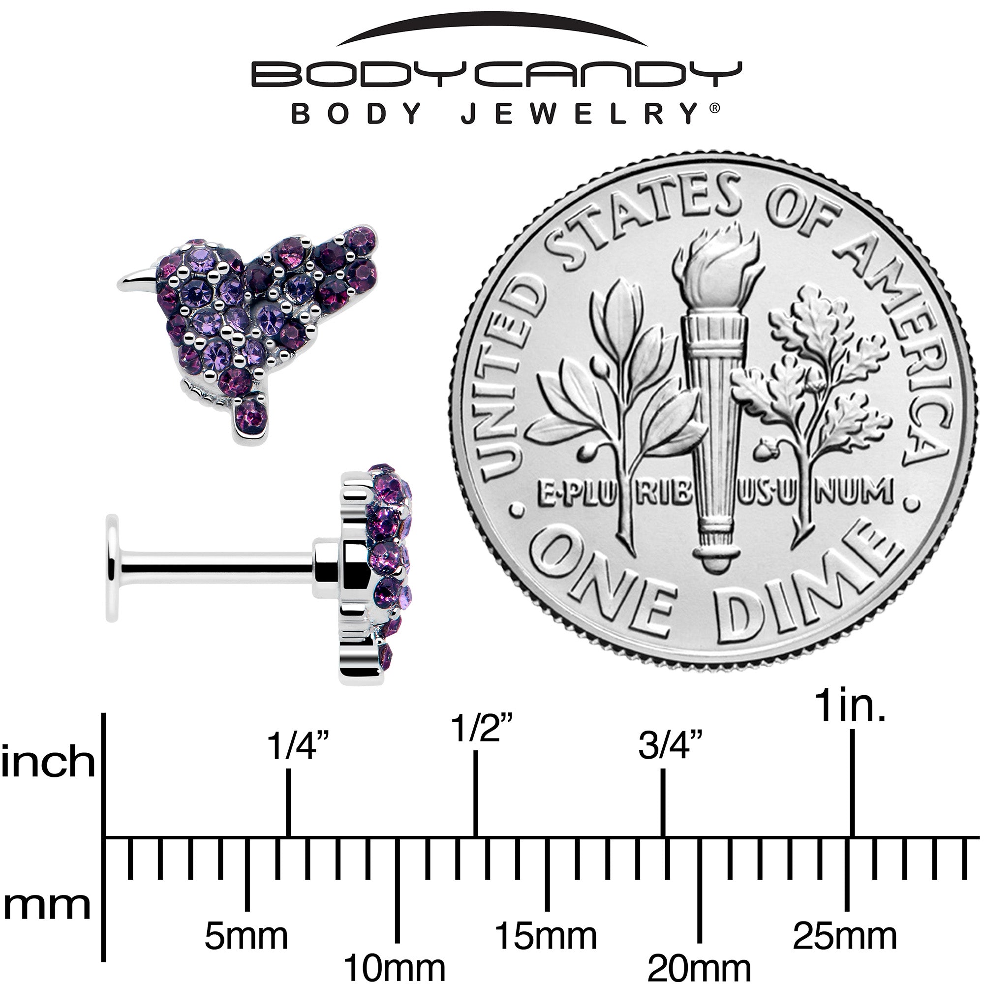 hummingbird design 16g cartilage labret jewelry