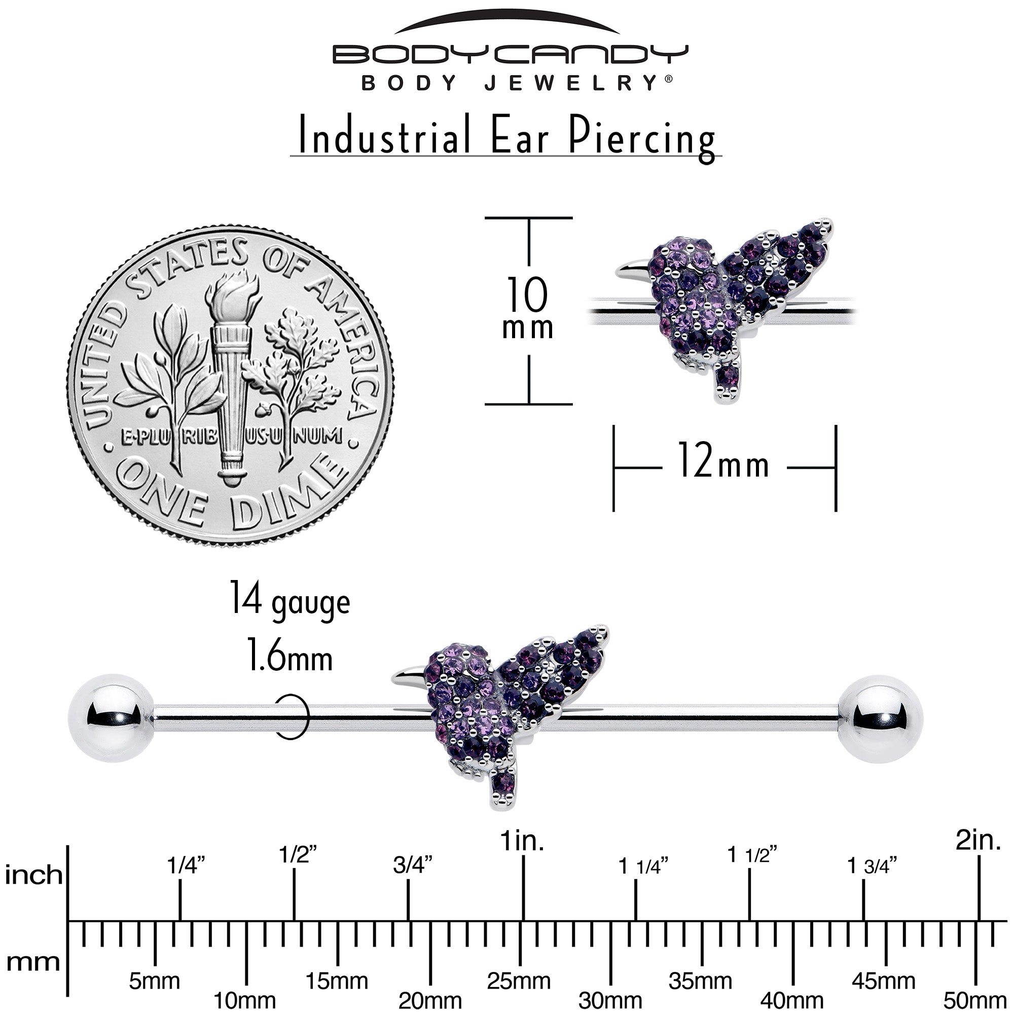 colorful hummingbird industrial barbell 38mm