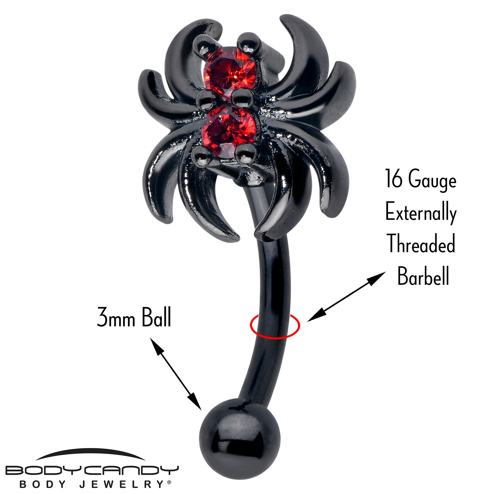 Red CZ Gem Black Spider Eyebrow Ring 16 Gauge 5/16