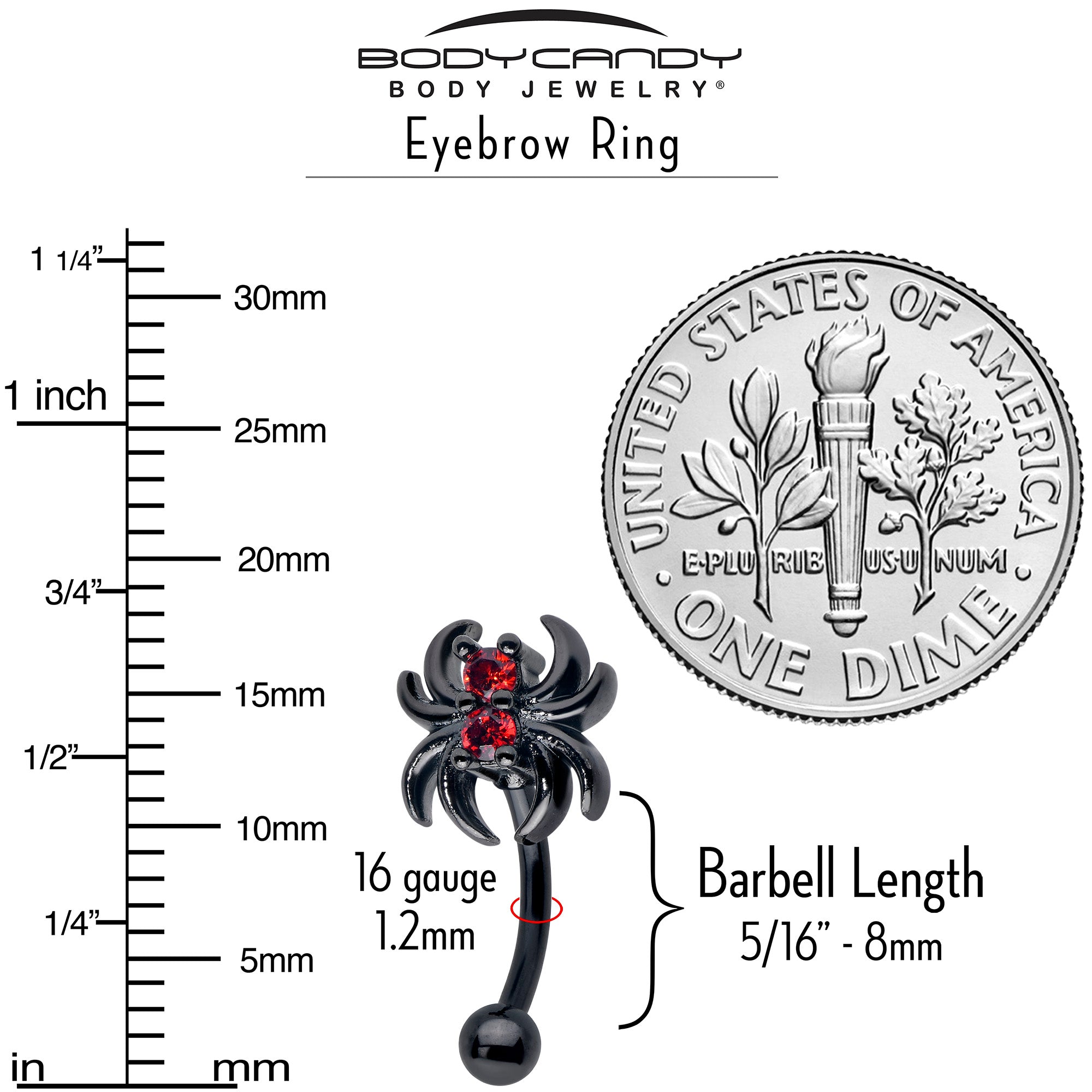 Sleek Black Spider Eyebrow Ring with Red CZ Gem 16 Gauge