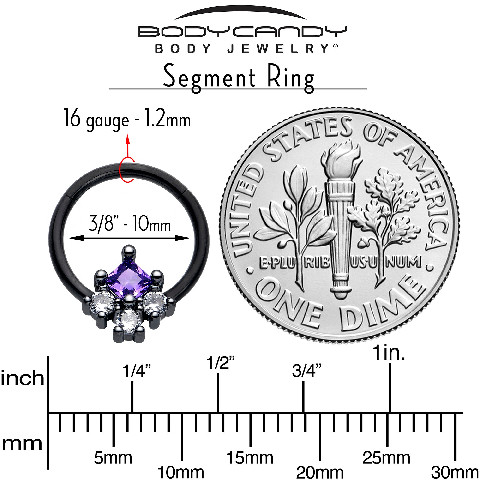 Black Rhombus Riot 16 Gauge Hinged Segment Ring
