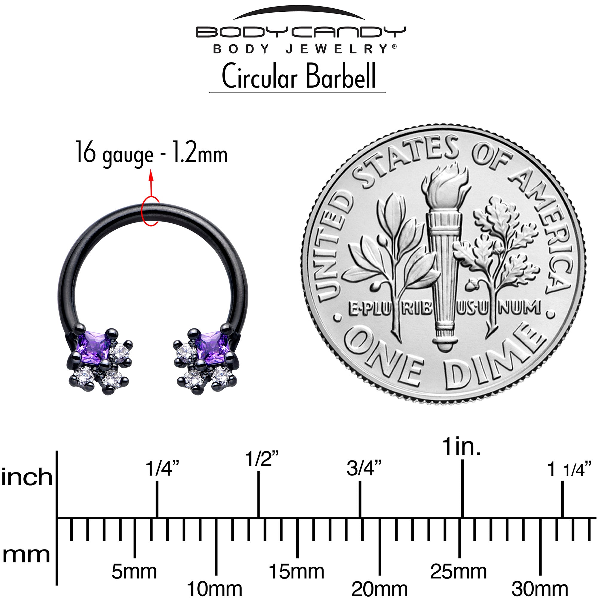 16 Gauge 3/8 Purple CZ Gem Horseshoe Circular Barbell