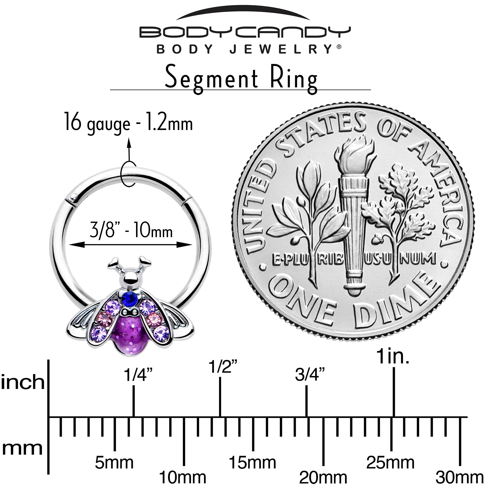 Beautiful Insect Hinged Segment Ring 16 Gauge 3/8 Pink Blue Gem