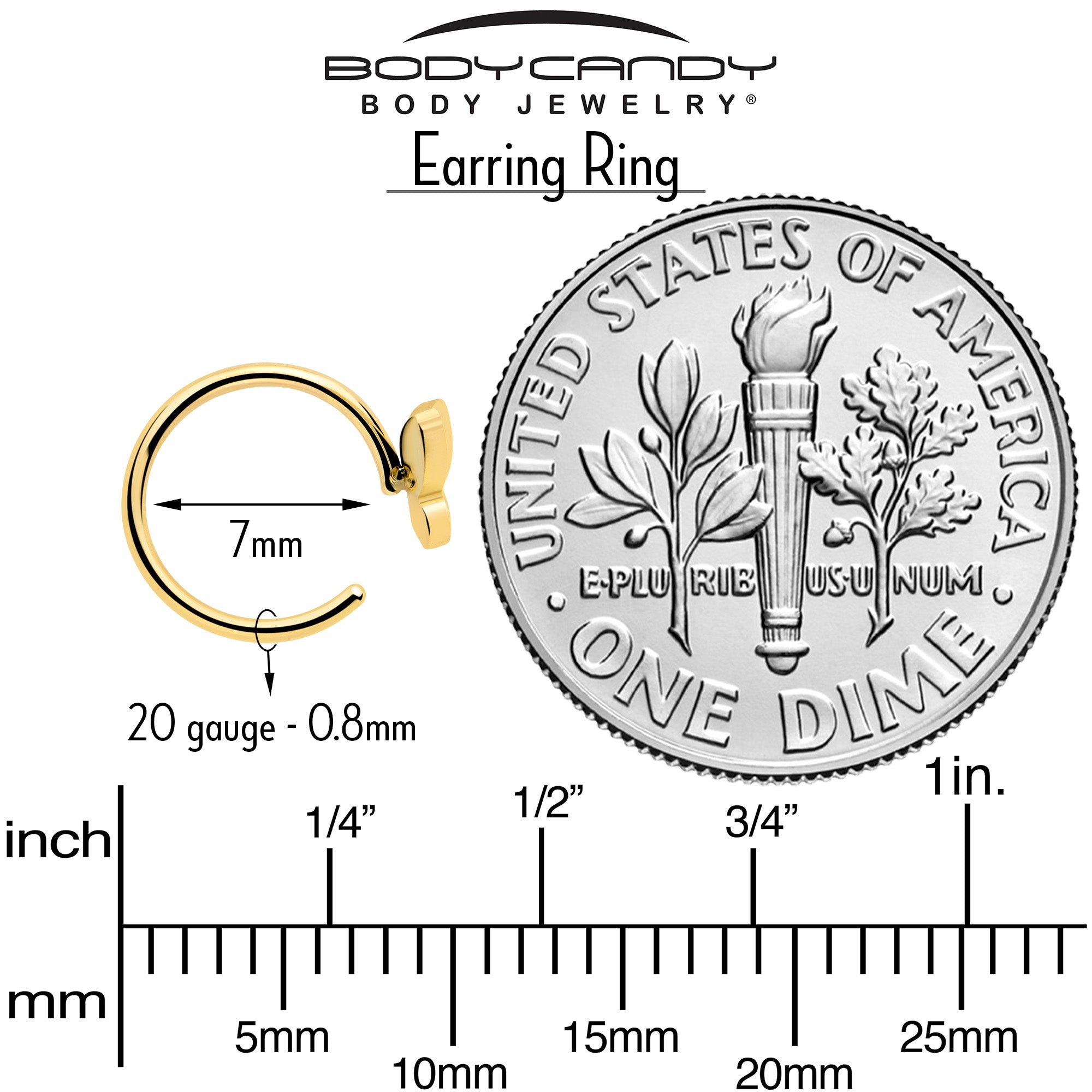 Titanium butterfly hoop earrings in gold tone for everyday wear