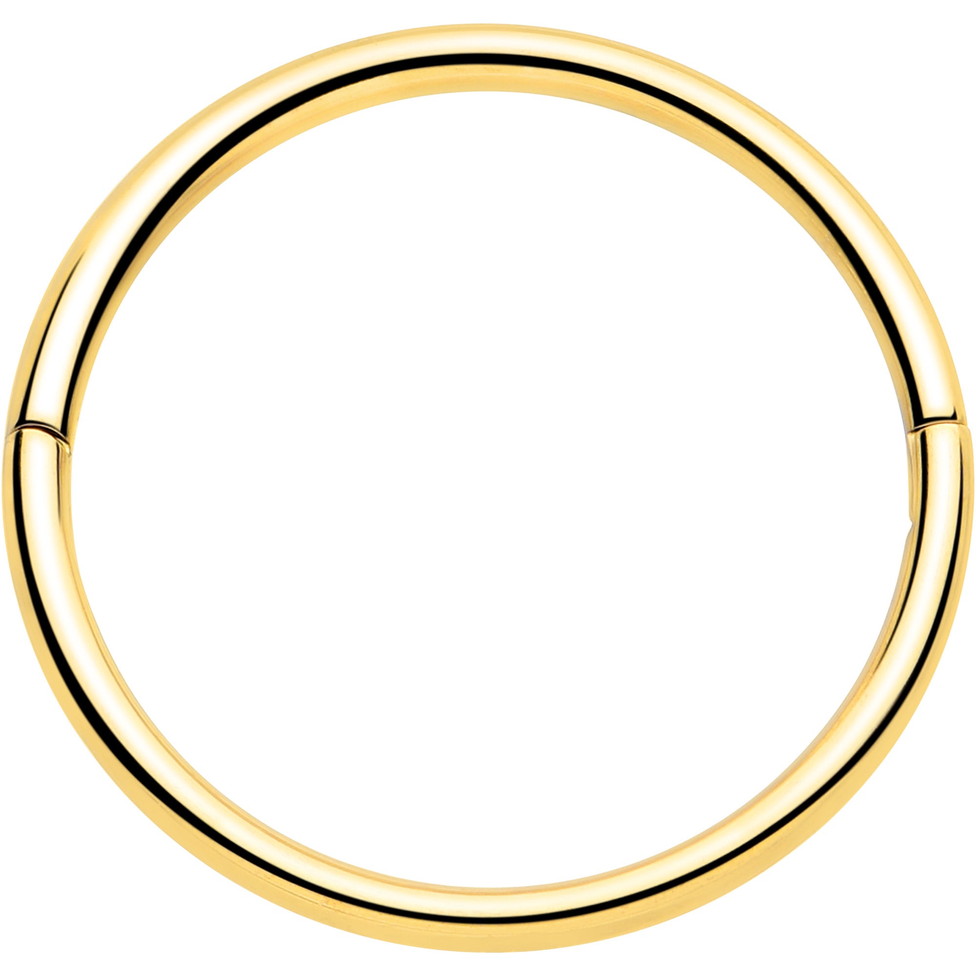 20G Implant Grade Titanium Half Closure Hinged Segment Ring