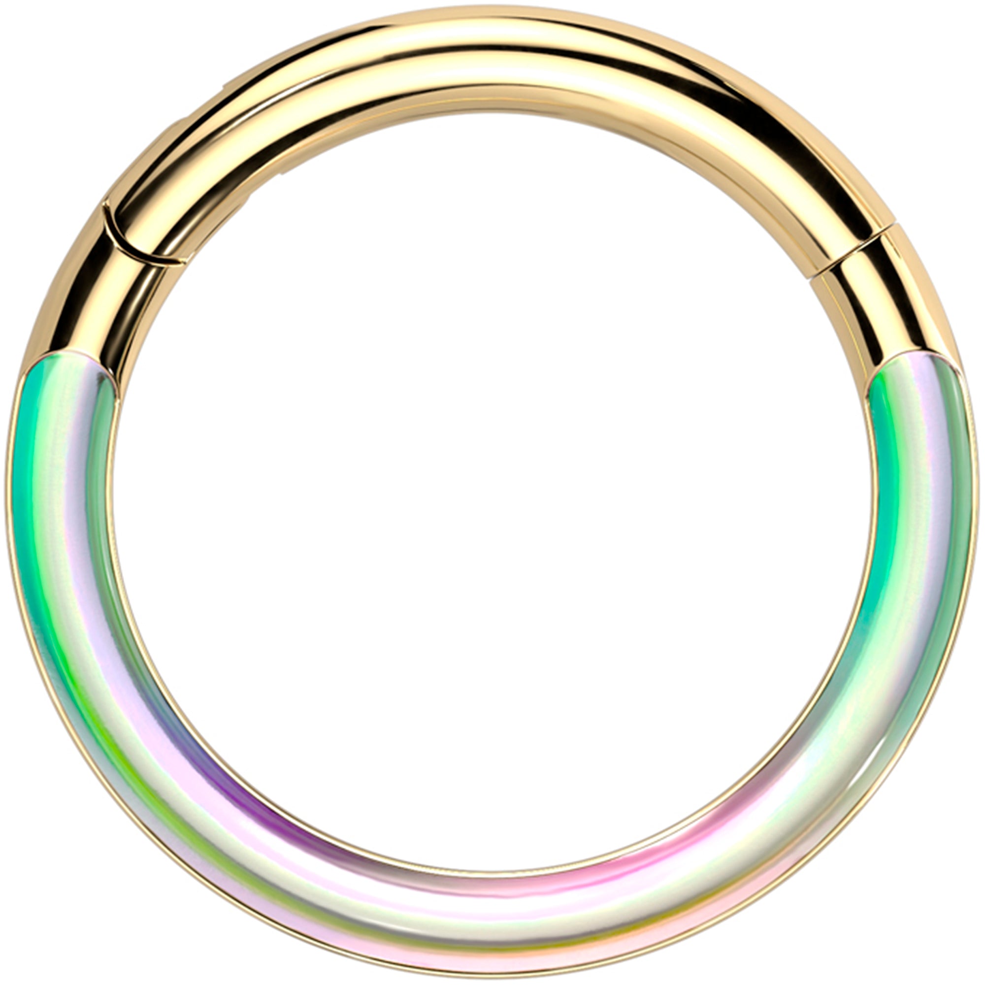 16G 3/8 Gold Tone Implant Titanium Photochromic Hinged Segment Ring