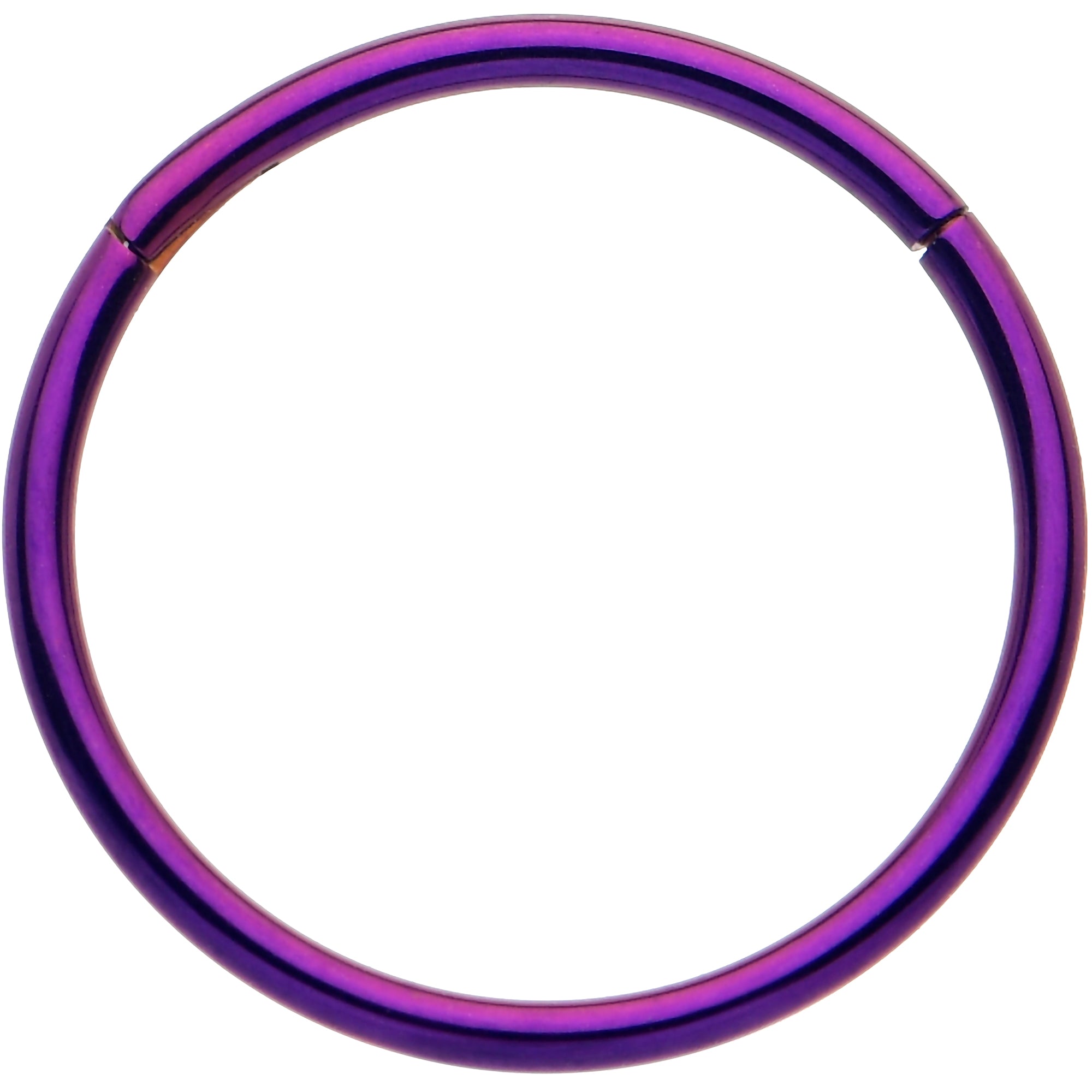 20G Purple Implant Grade Titanium Hinged Nose Hoop