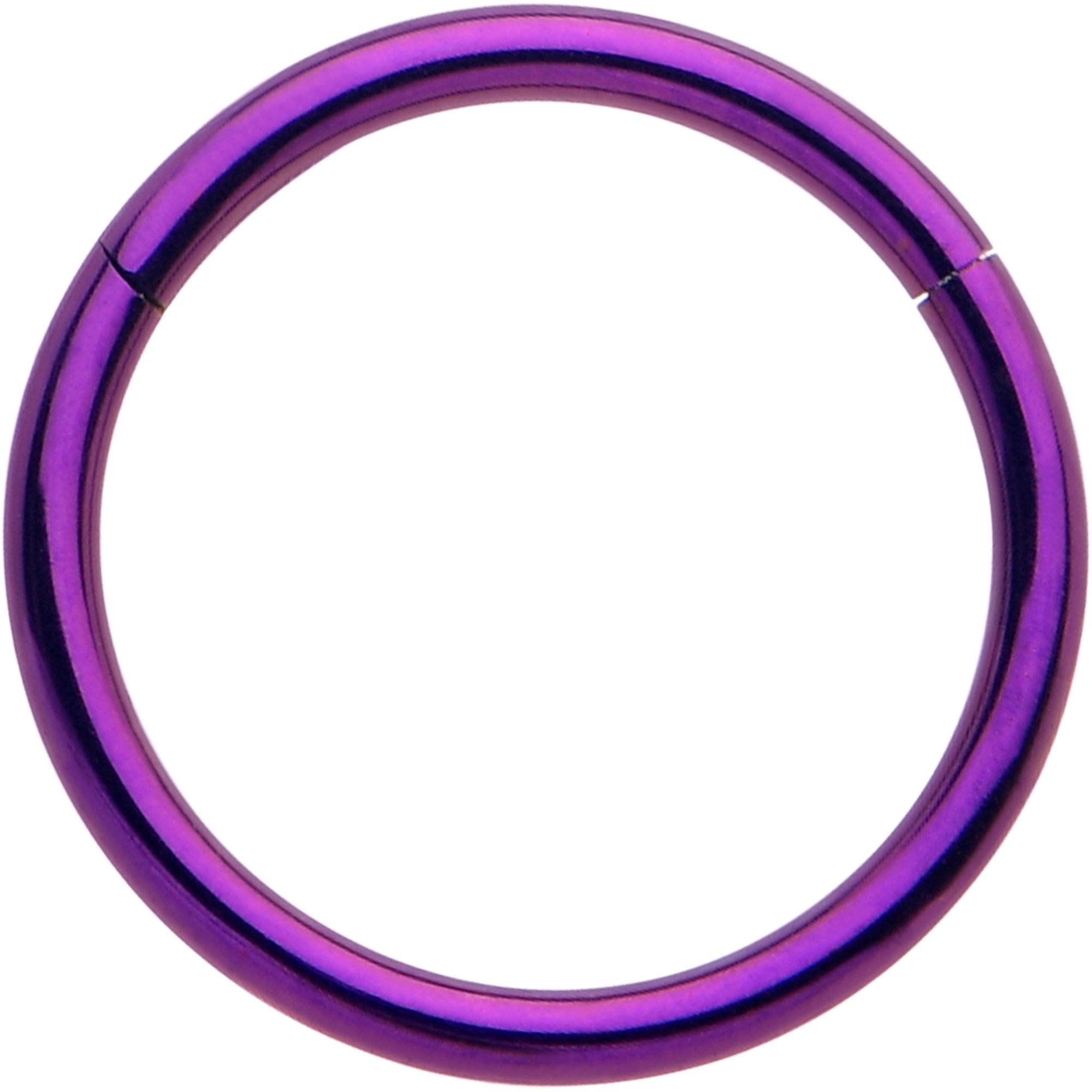 20G Purple Implant Grade Titanium Hinged Nose Hoop