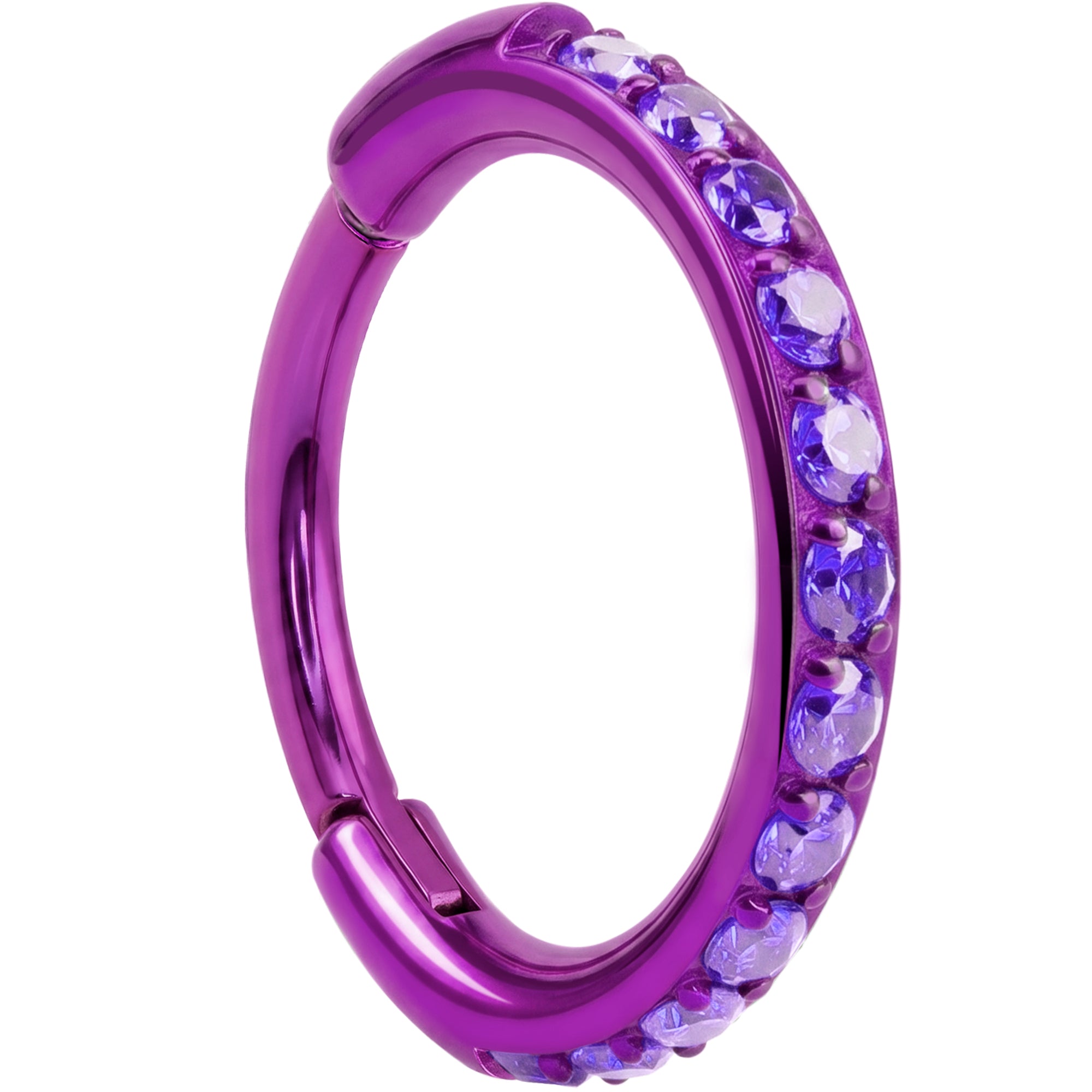 Micro Gem Titanium Hinged Nose Hoop