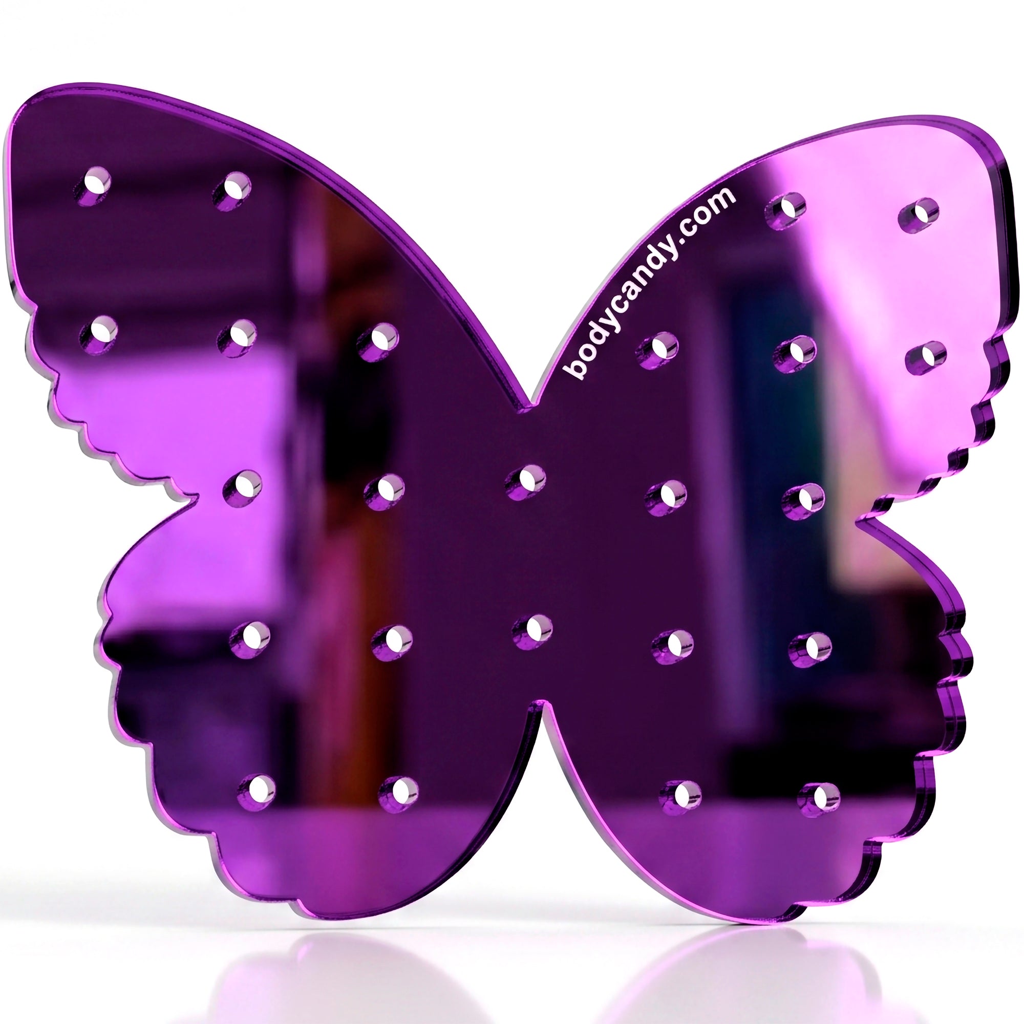 Purple Butterfly Travel Flat Back Earring Palette