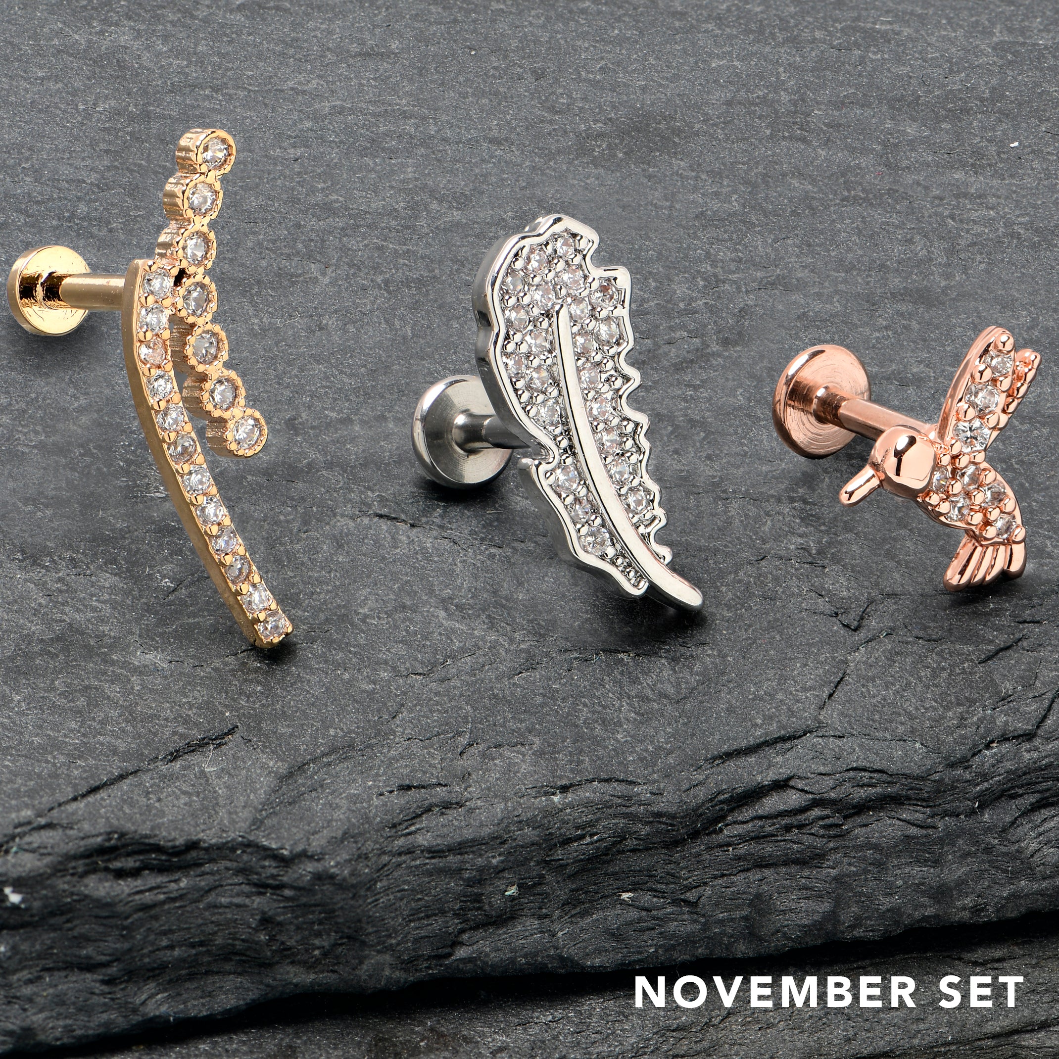 Cartilage Piercing Monthly Club