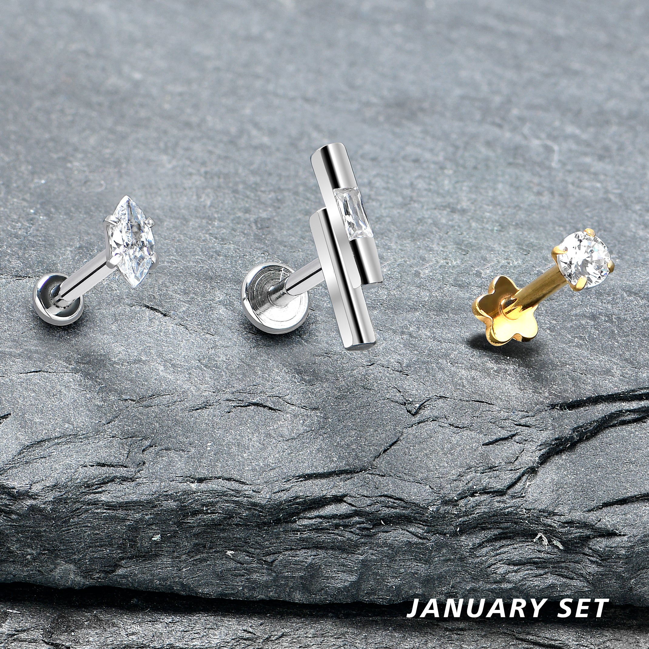 Labret Piercing Monthly Club