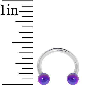 16 Gauge 5/16 Metallic Purple Horseshoe Circular Barbell