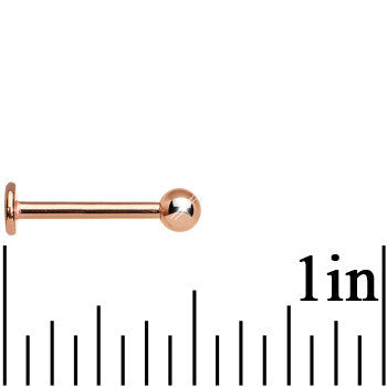 16G 3/8 Rose Gold Plated Labret Tragus Monroe