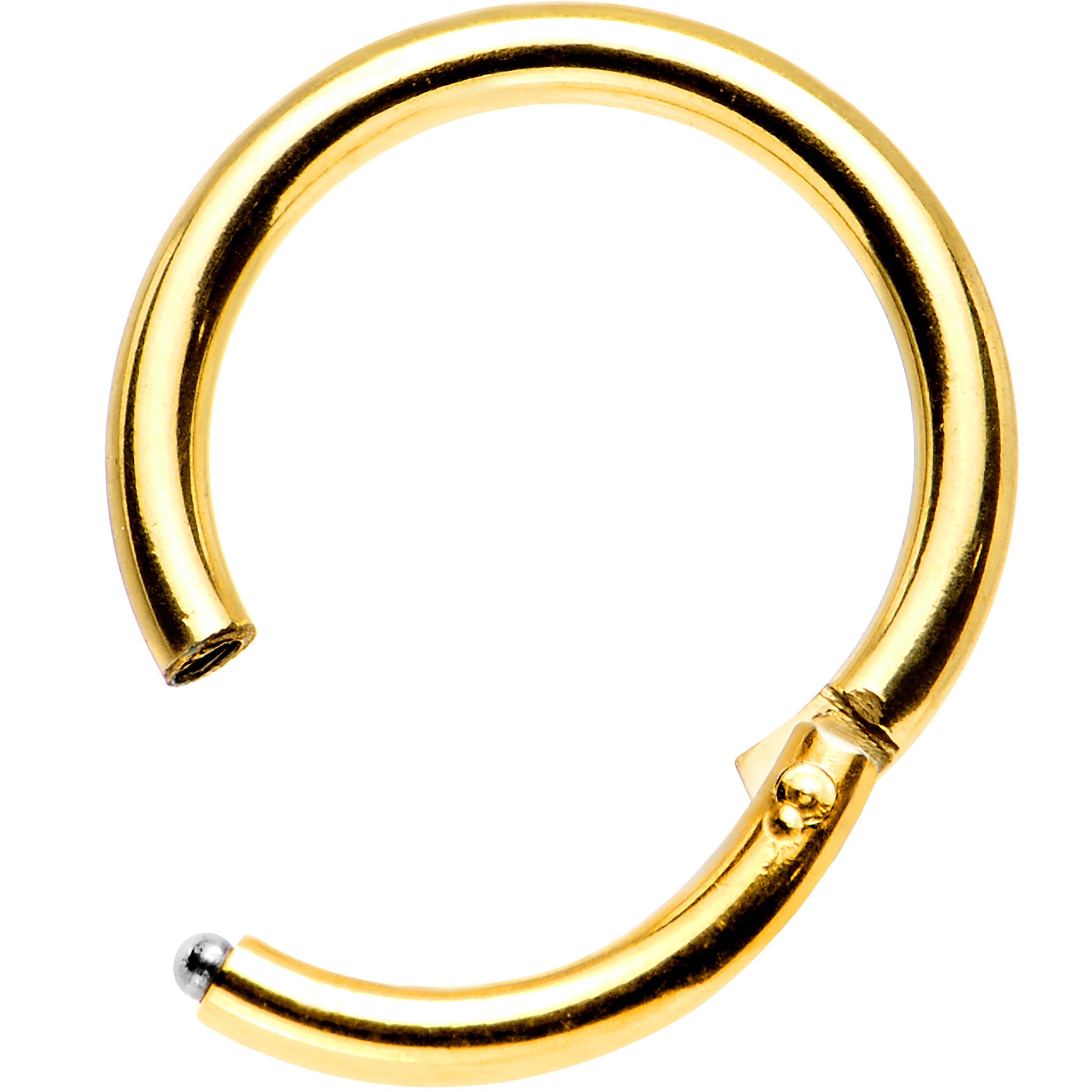 16 Gauge 5/16 Gold Anodized Titanium Hinged Segment Ring
