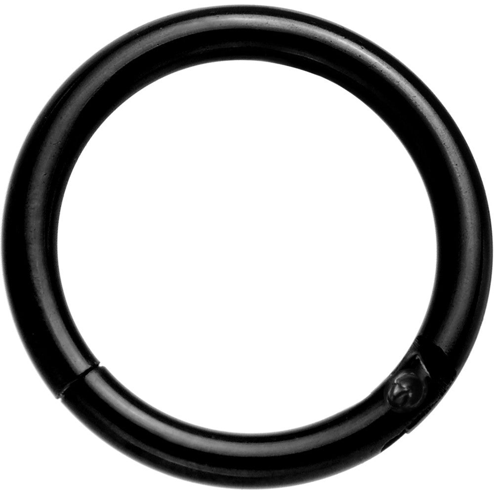 16 Gauge 5/16 Black Anodized Hinged Segment Ring