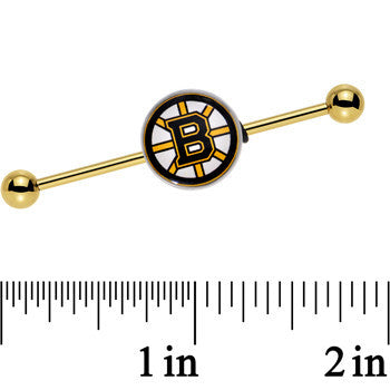 Licensed NHL Gold Anodized Boston Bruins Industrial Barbell 38mm
