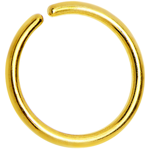 18 Gauge 5/16 Gold IP Annealed Steel Seamless Circular Ring