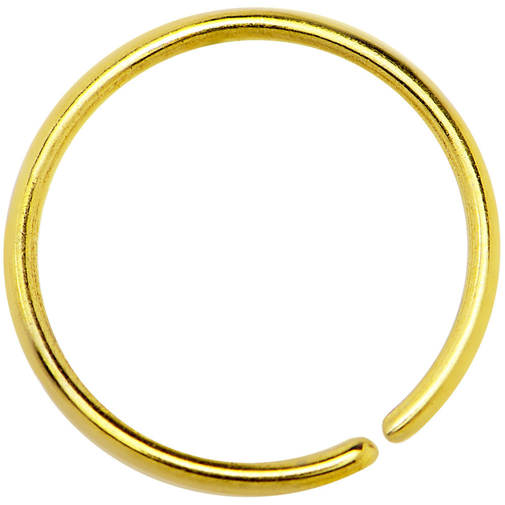 20 Gauge 3/8 Gold IP Annealed Steel Seamless Circular Ring