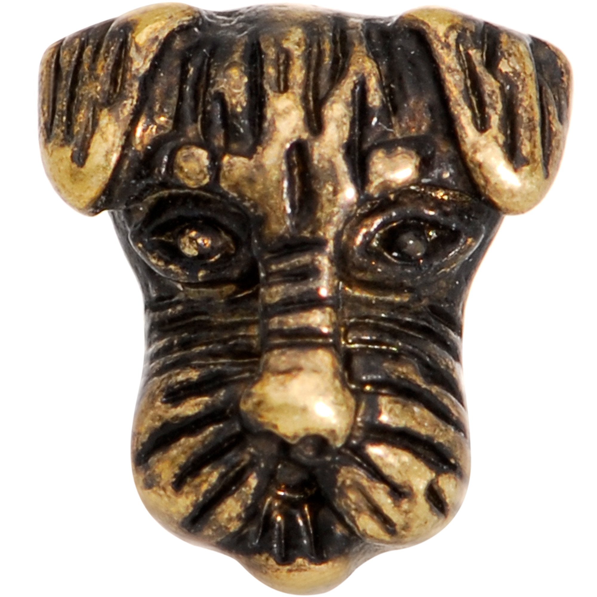 16G 1/4 Your Best Friend Dog Tragus Cartilage Earring