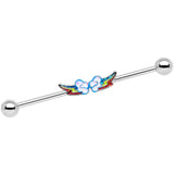 Cloudy Day Rainbow Wonder Industrial Barbell 38mm