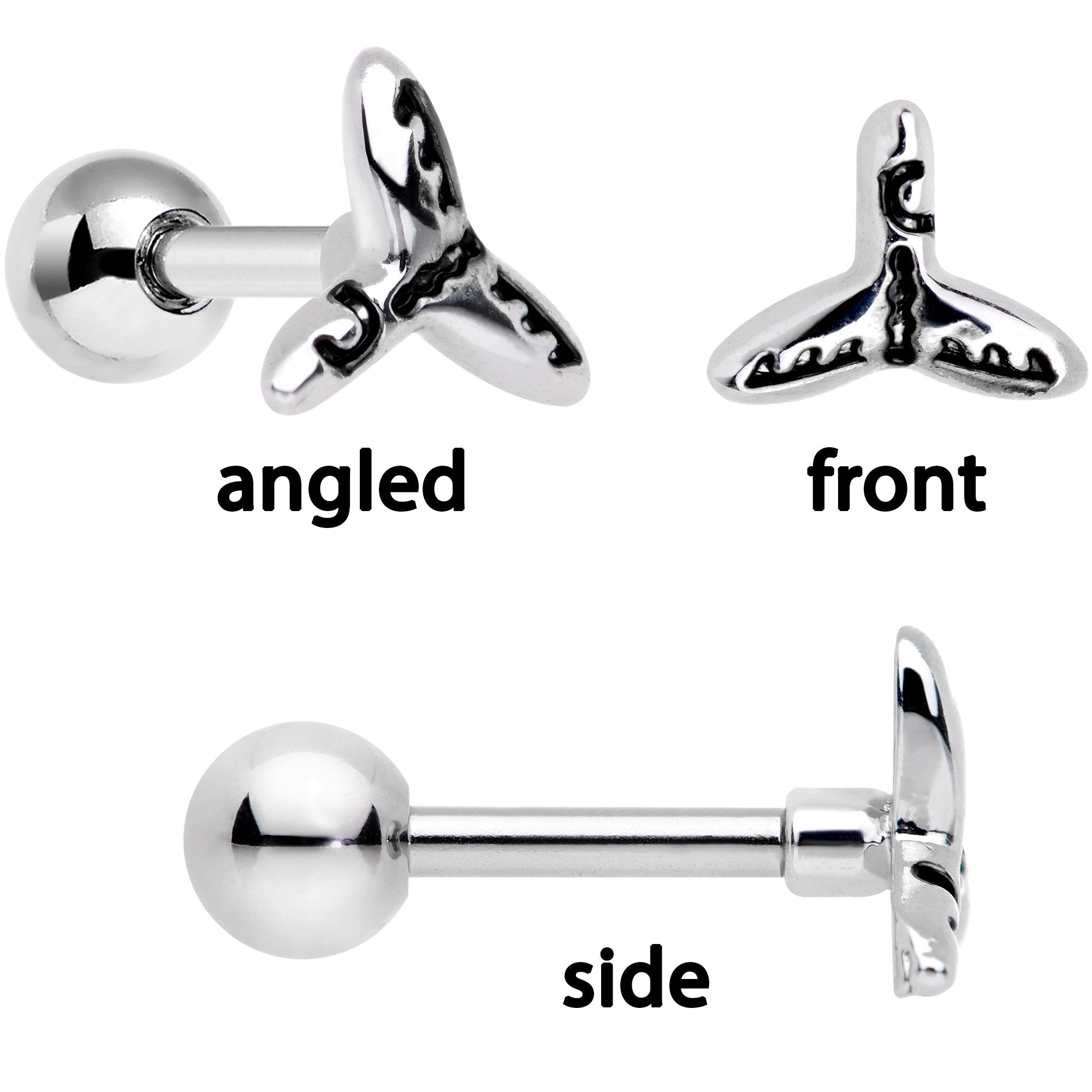 16G 1/4 Ocean Starfish Life Cartilage Tragus Earring Set of 3