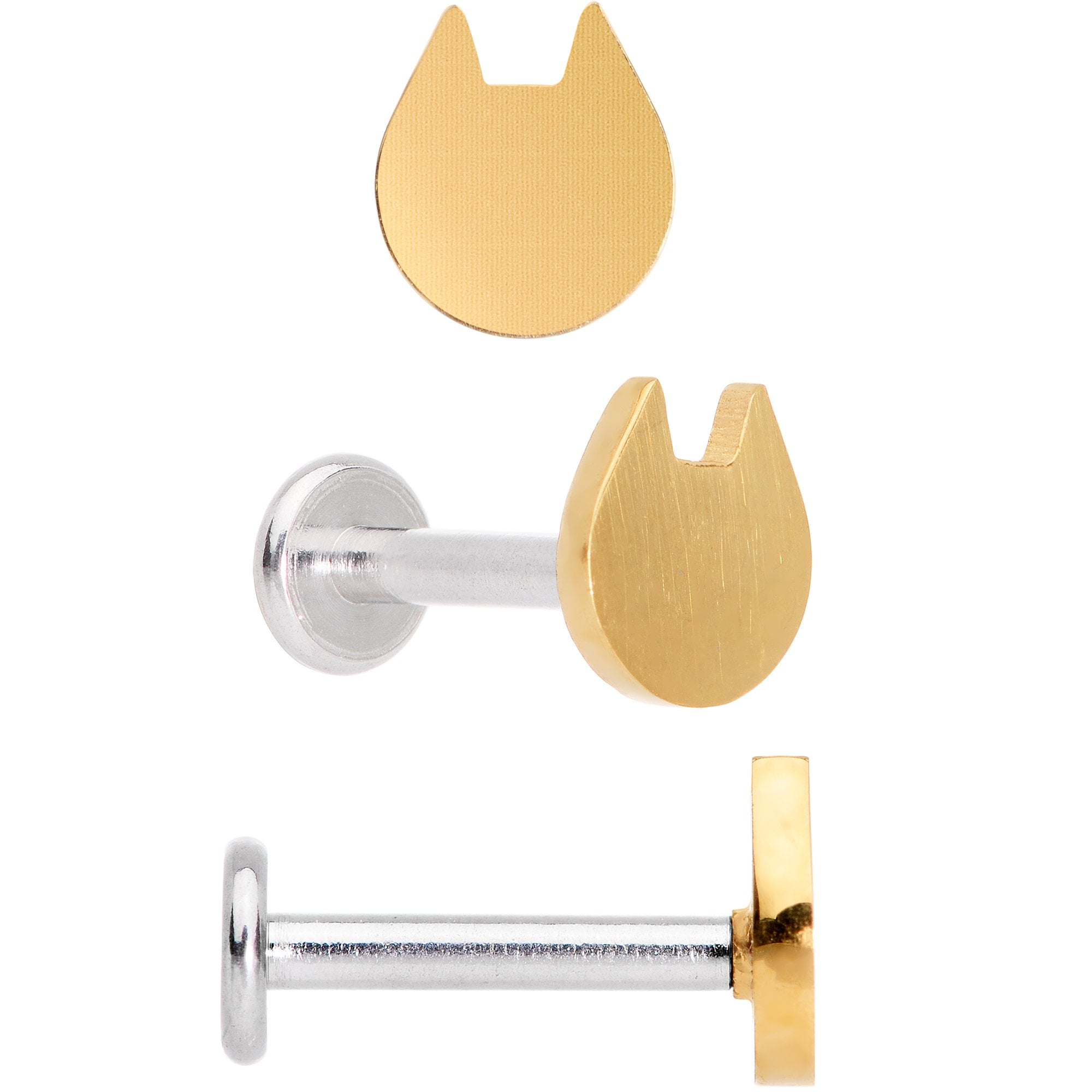 16G 5/16 Multicolor Internally Threaded Cat Labret Set of 4