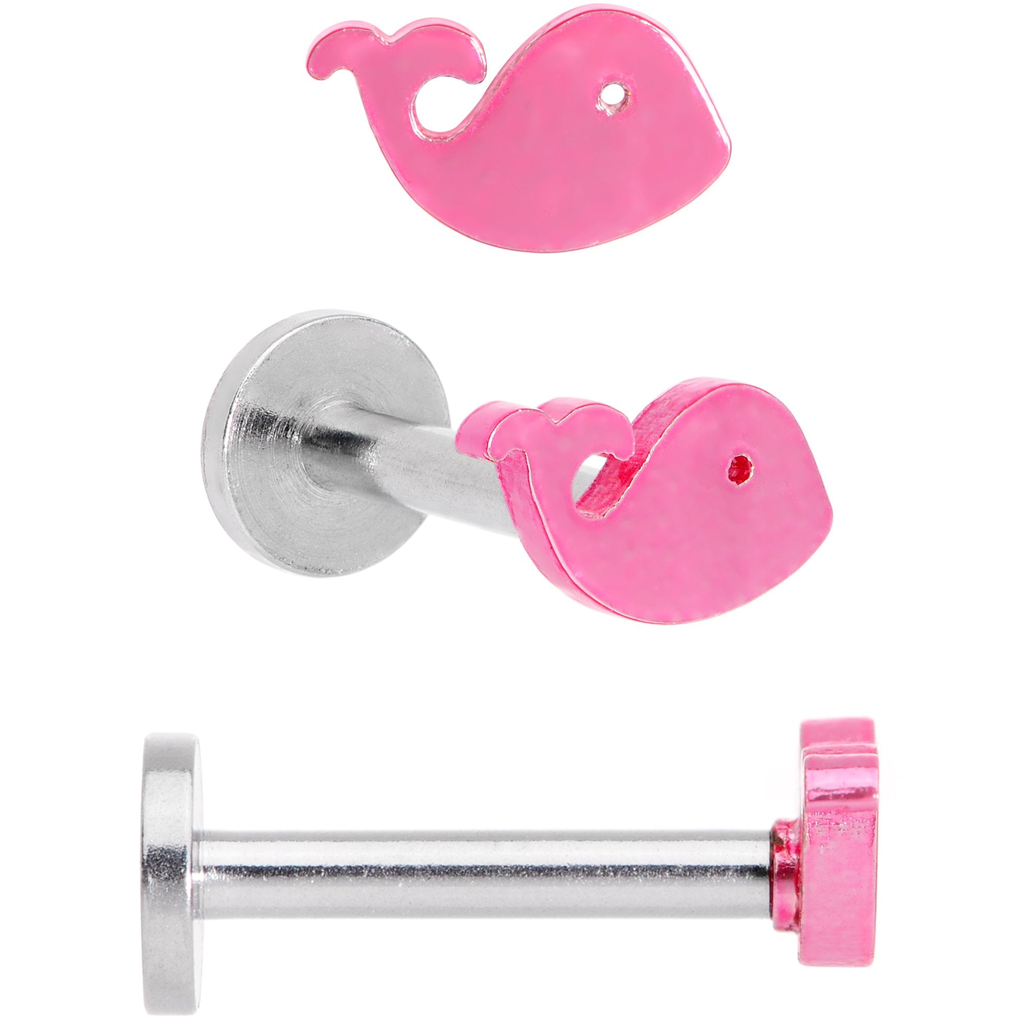 16G 5/16 Multicolor Internally Threaded Whale Labret Set of 4